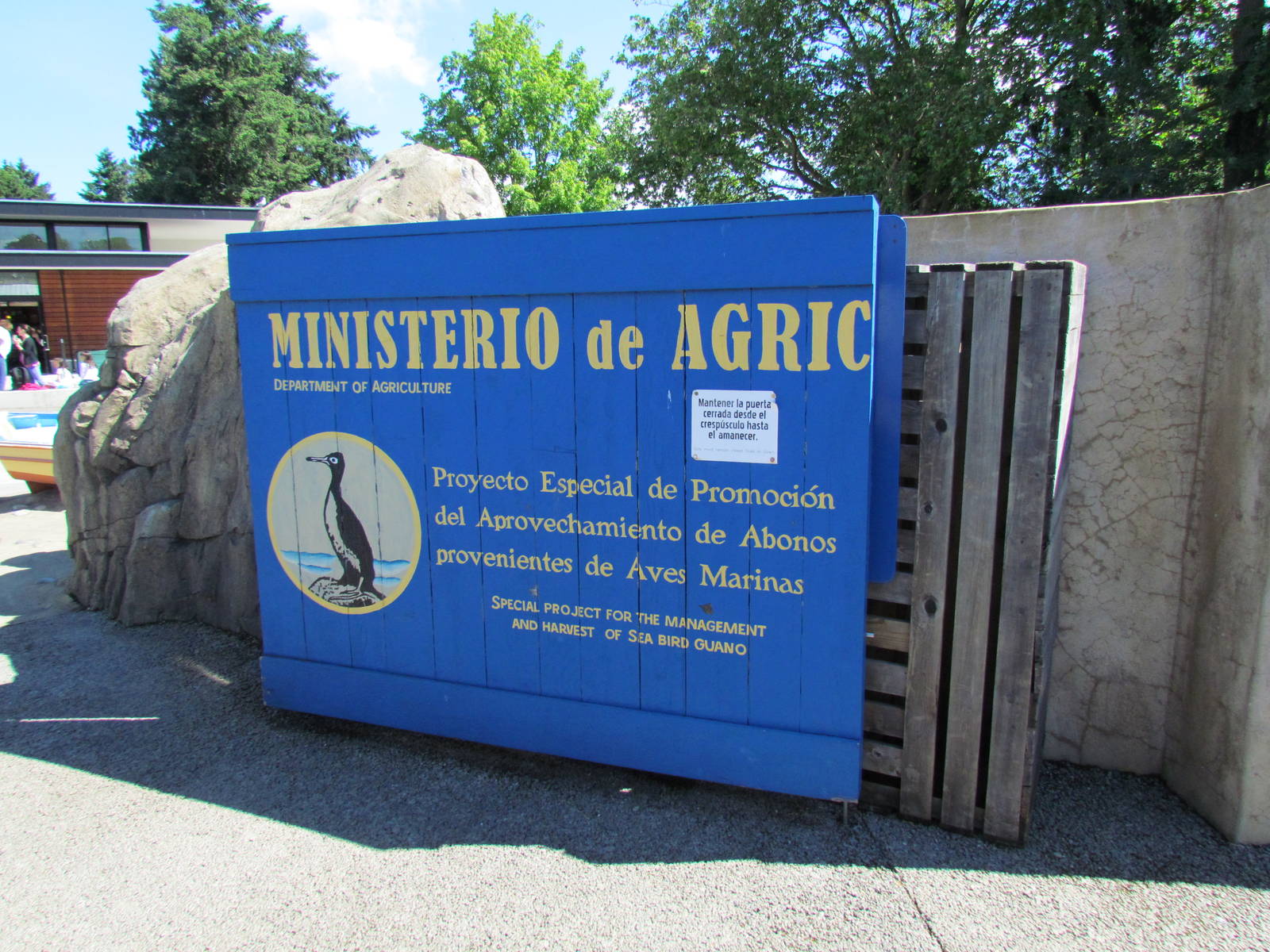 Humboldt Penguin Exhibit