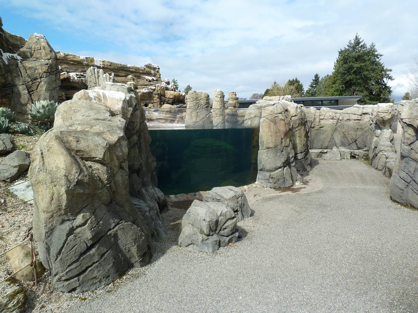Humboldt Penguin Exhibit