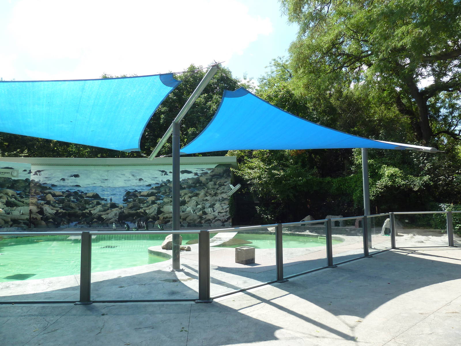 Humboldt Penguin Exhibit