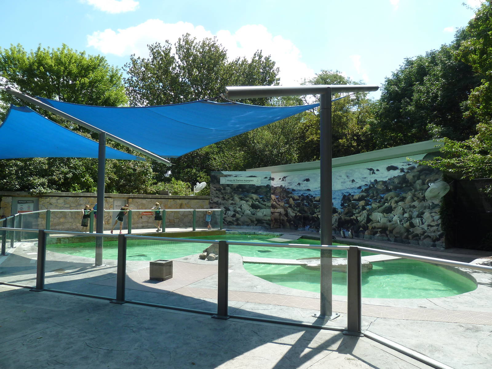 Humboldt Penguin Exhibit