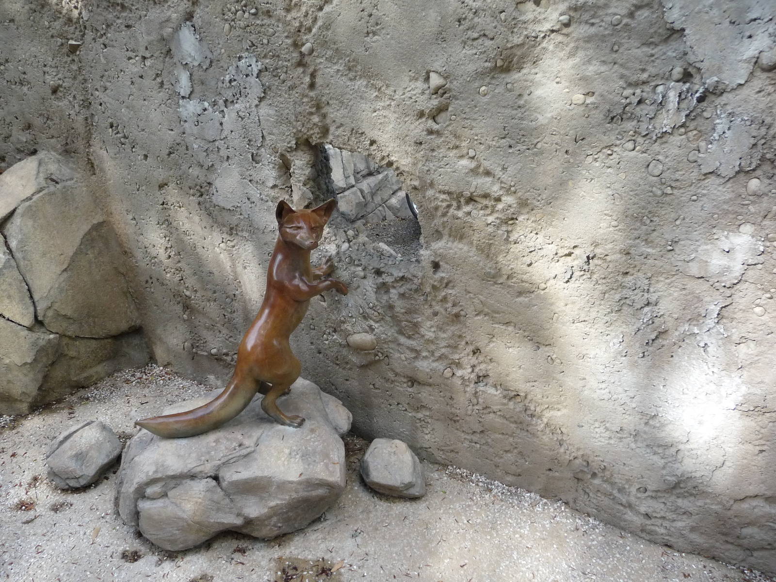 Humboldt Penguin Exhibit