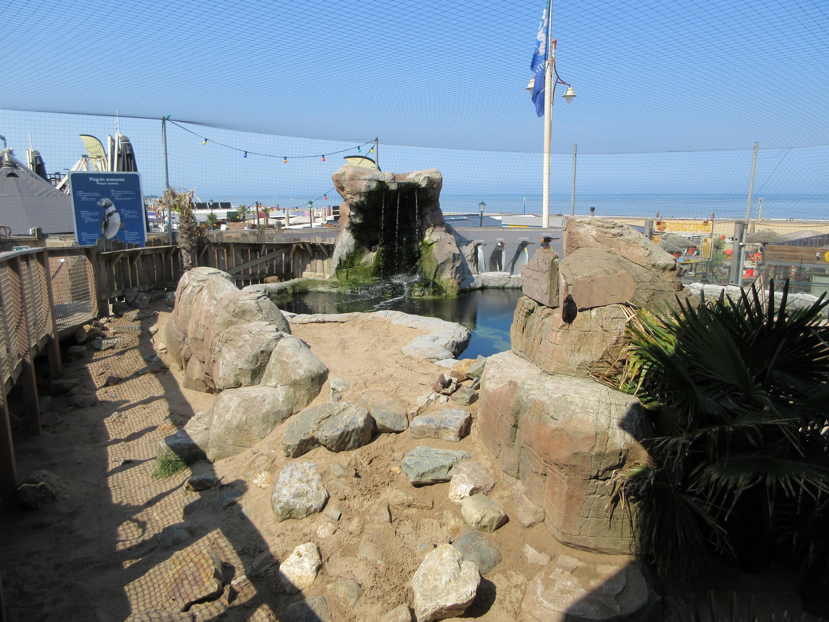 Humboldt Penguin Exhibit