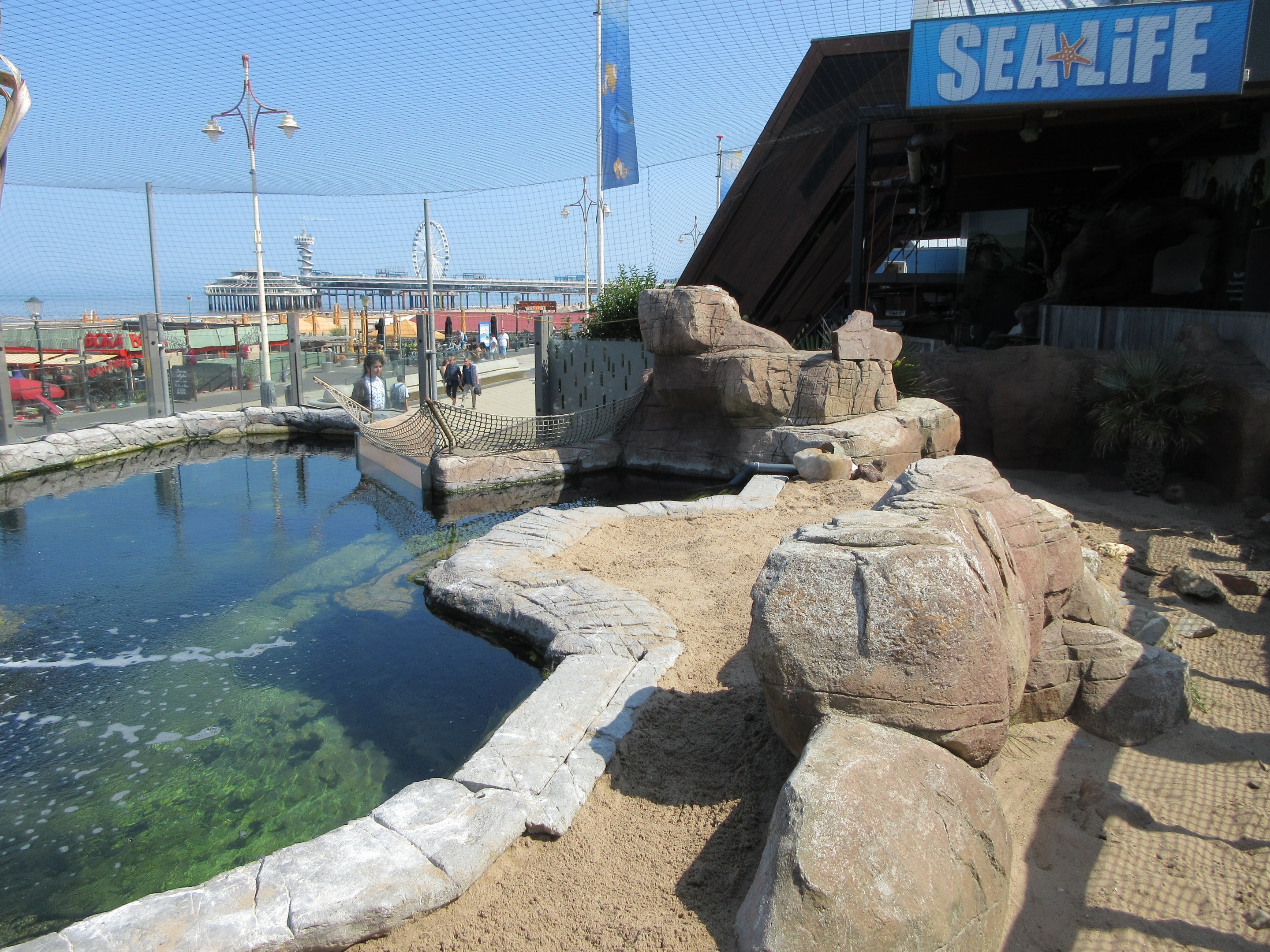 Humboldt Penguin Exhibit