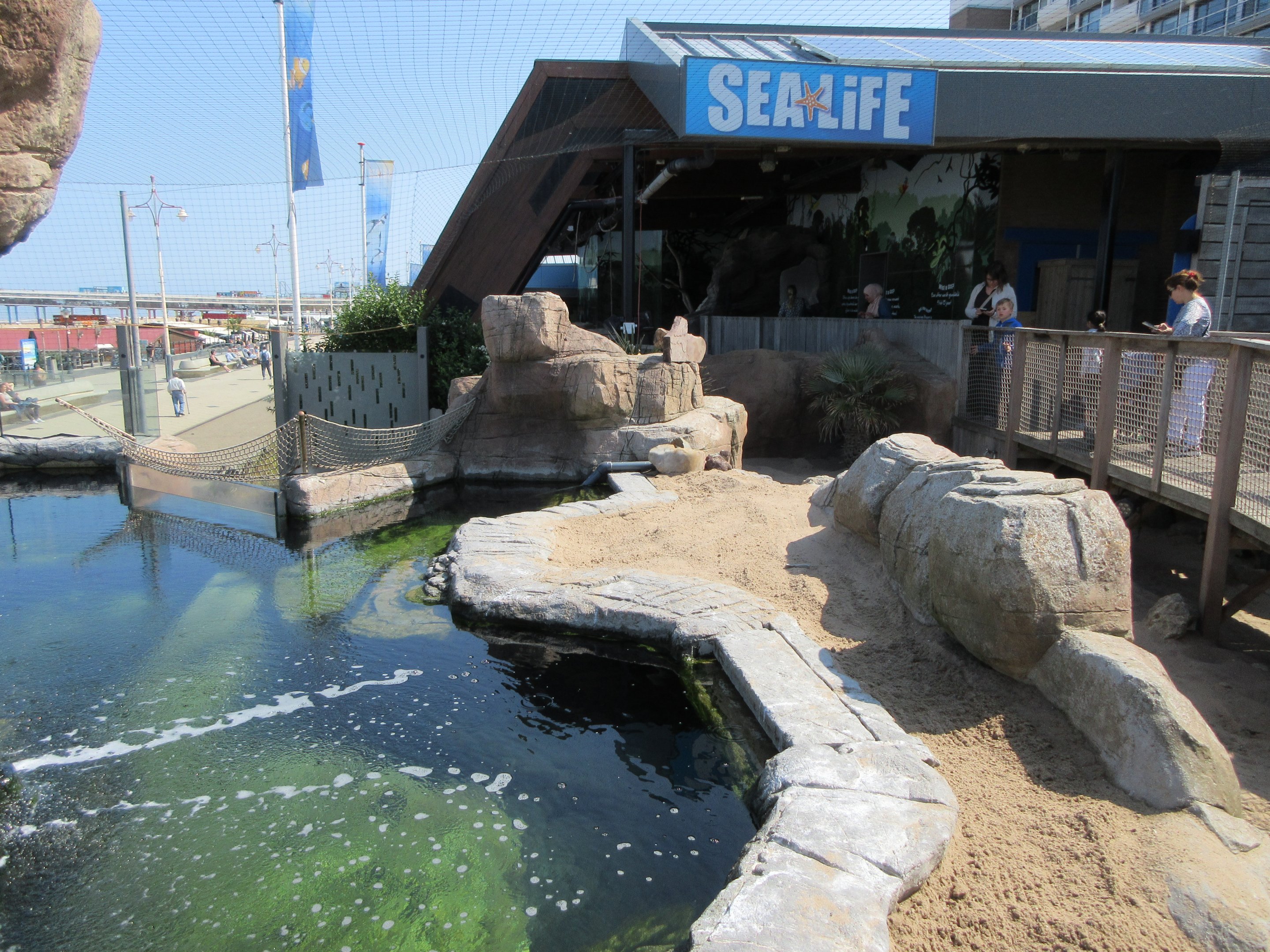 Humboldt Penguin Exhibit