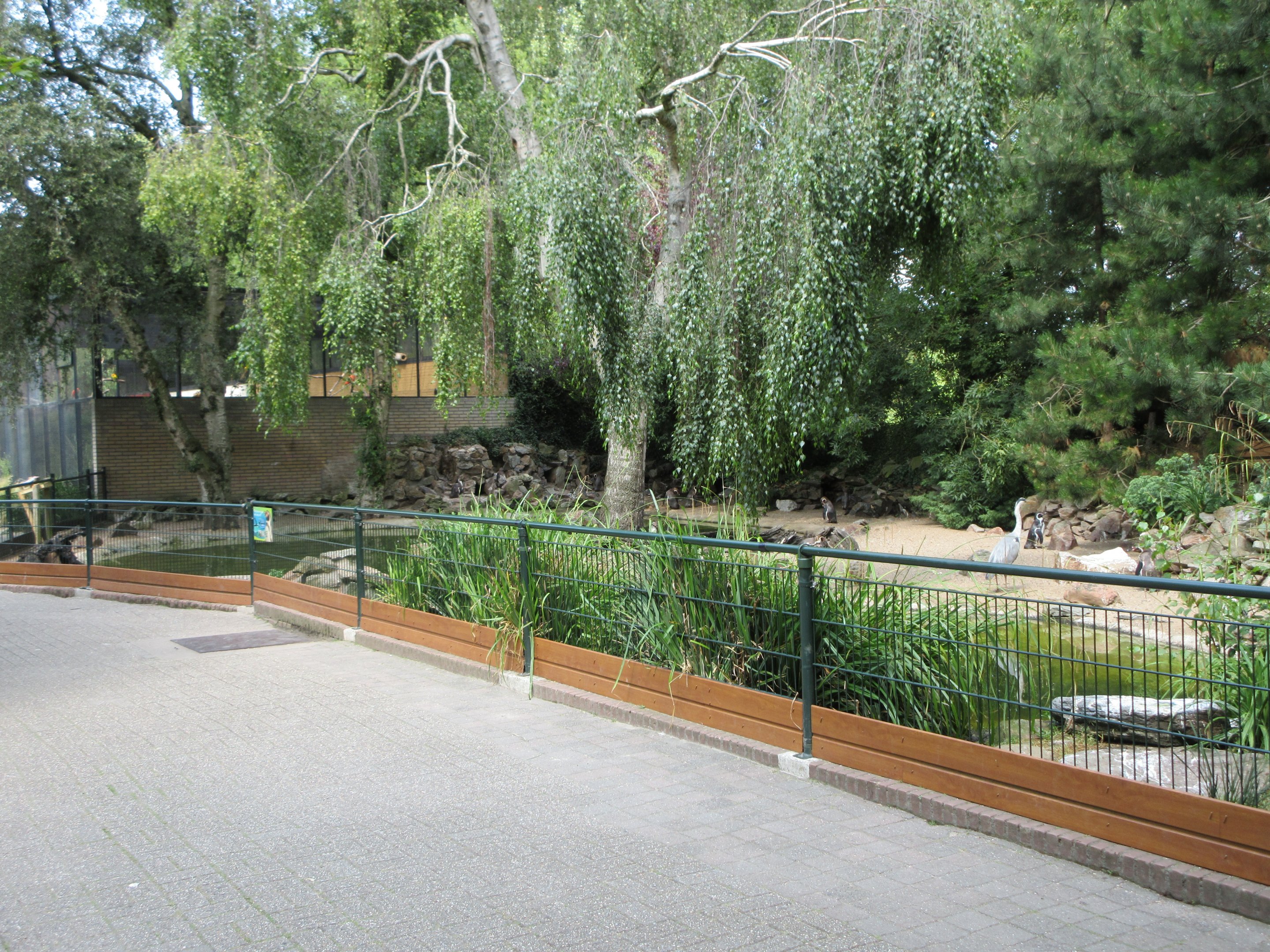Humboldt Penguin Exhibit