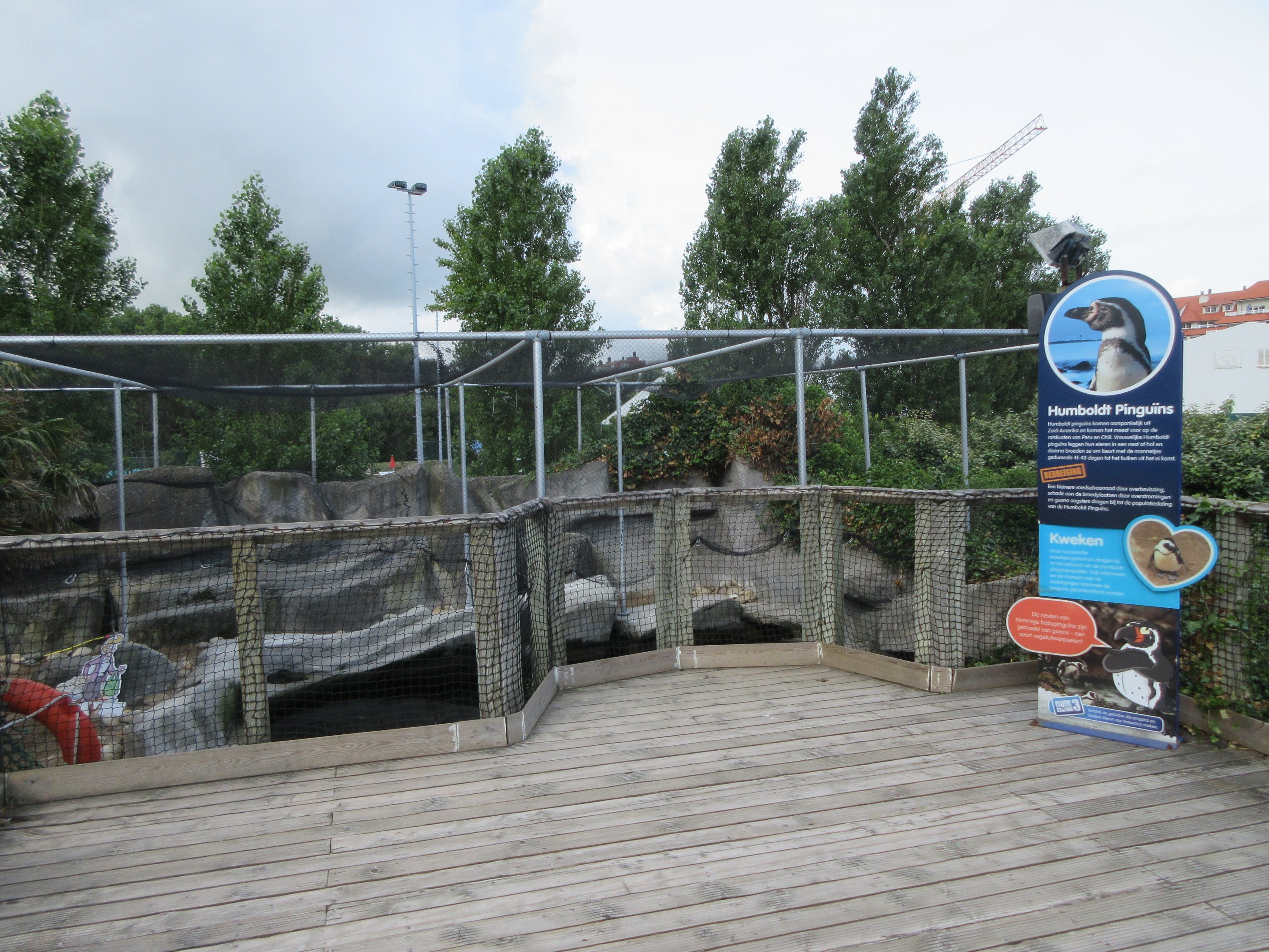 Humboldt Penguin Exhibit
