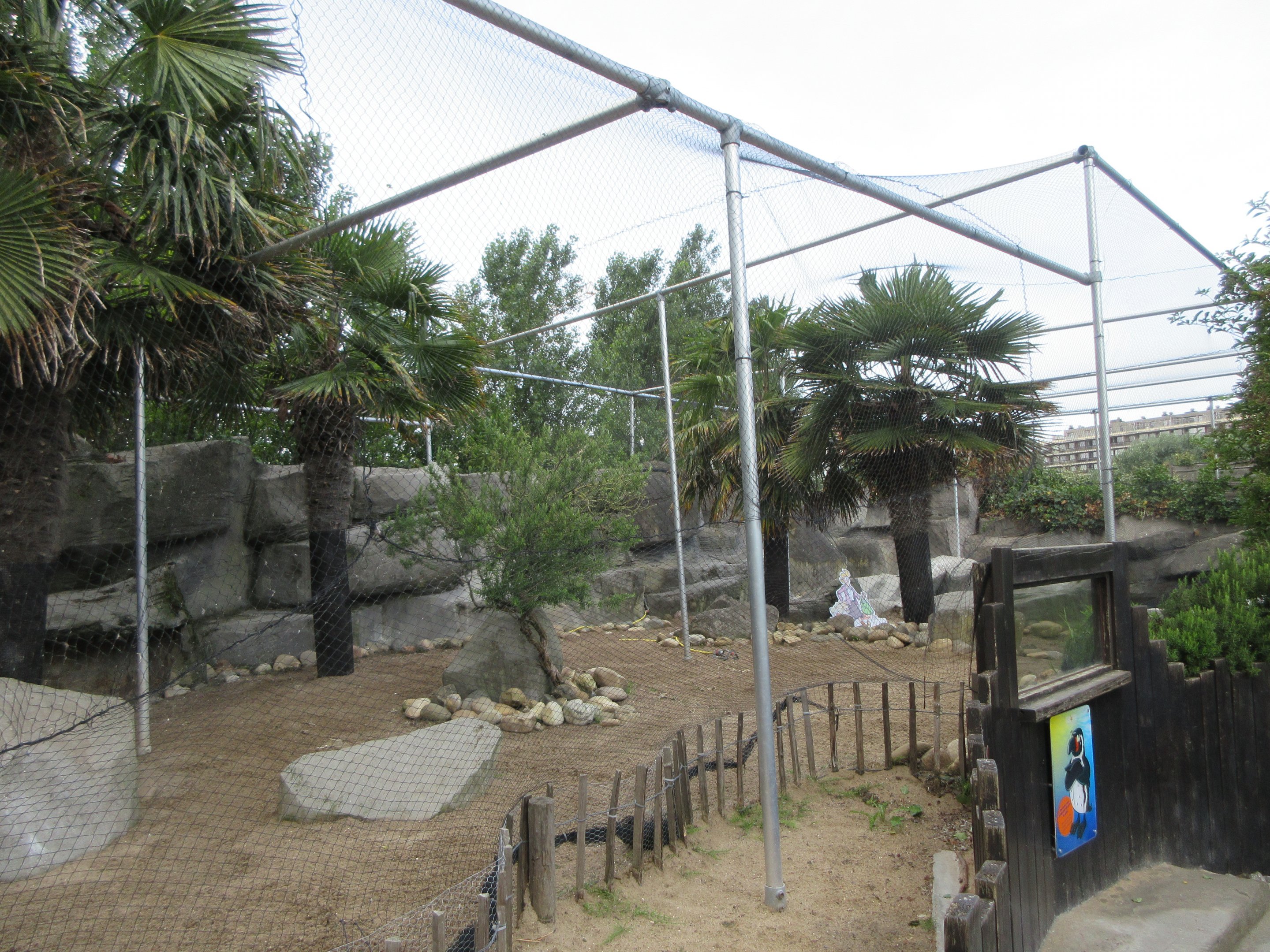 Humboldt Penguin Exhibit