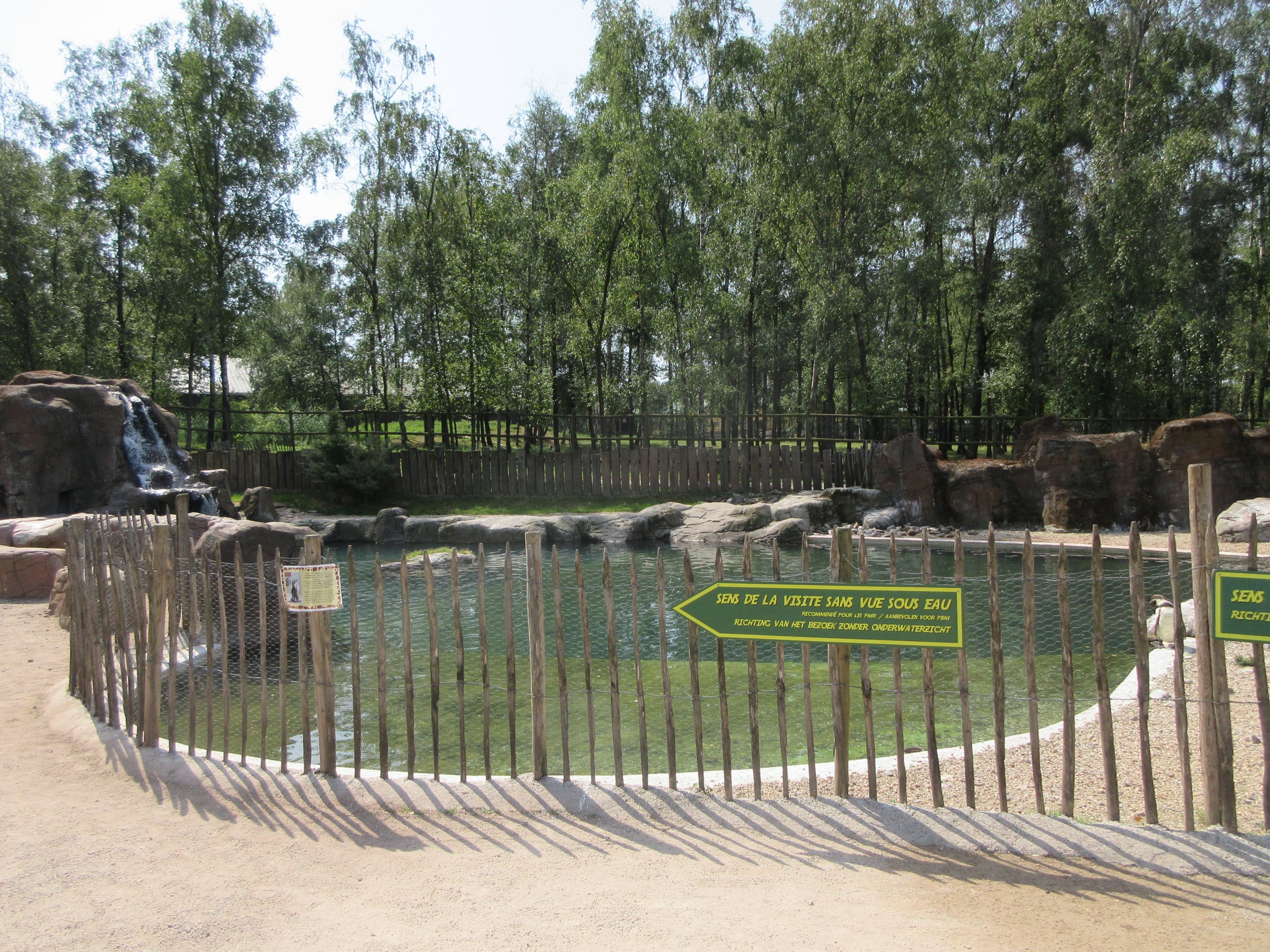 Humboldt Penguin Exhibit