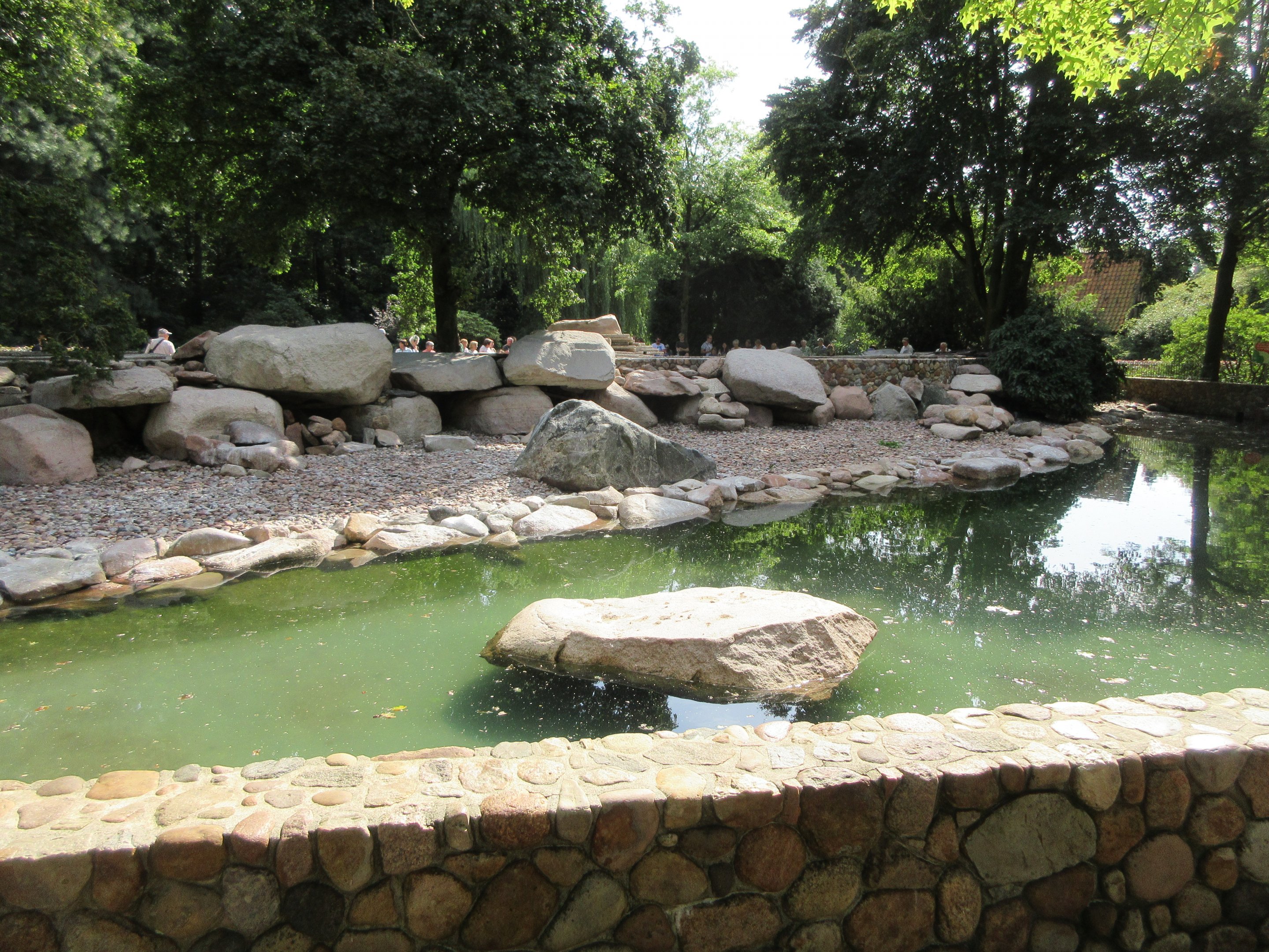 Humboldt Penguin Exhibit