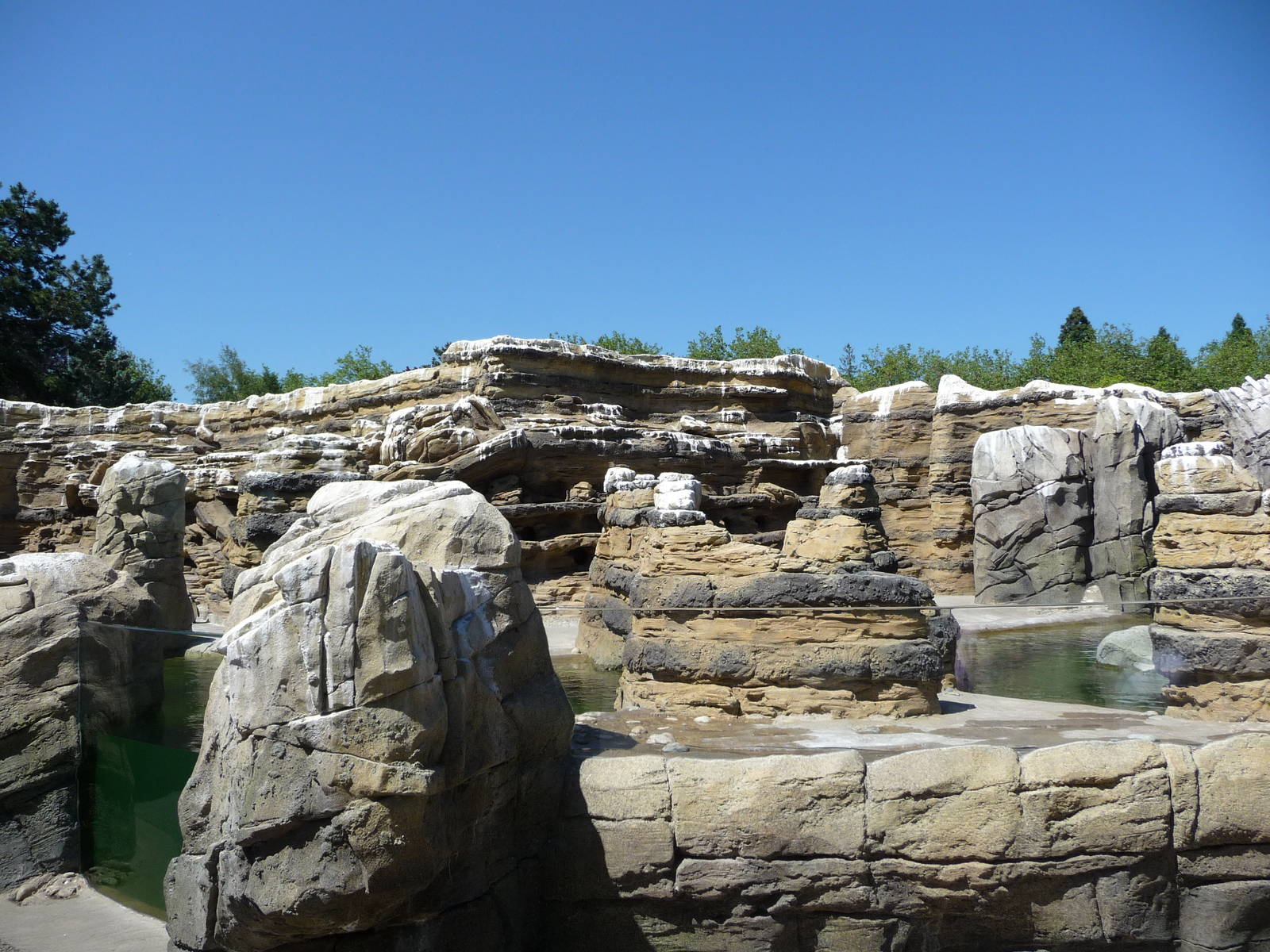 Humboldt Penguin Exhibit