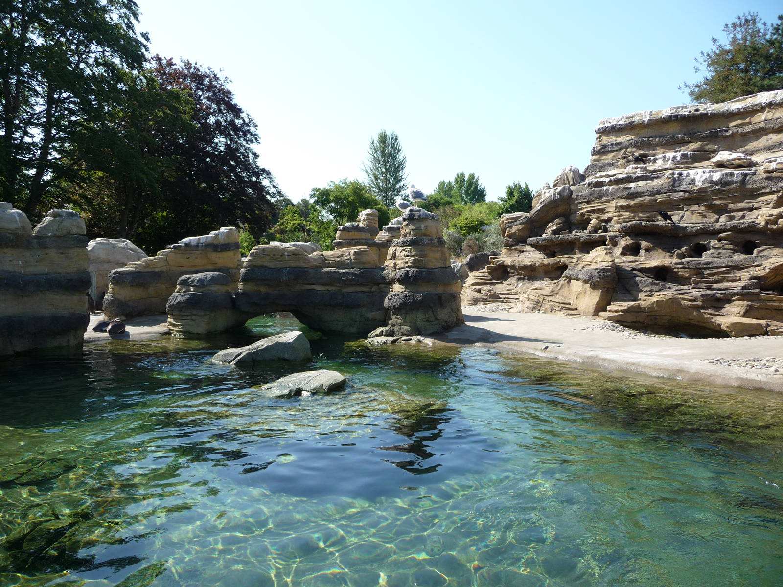 Humboldt Penguin Exhibit