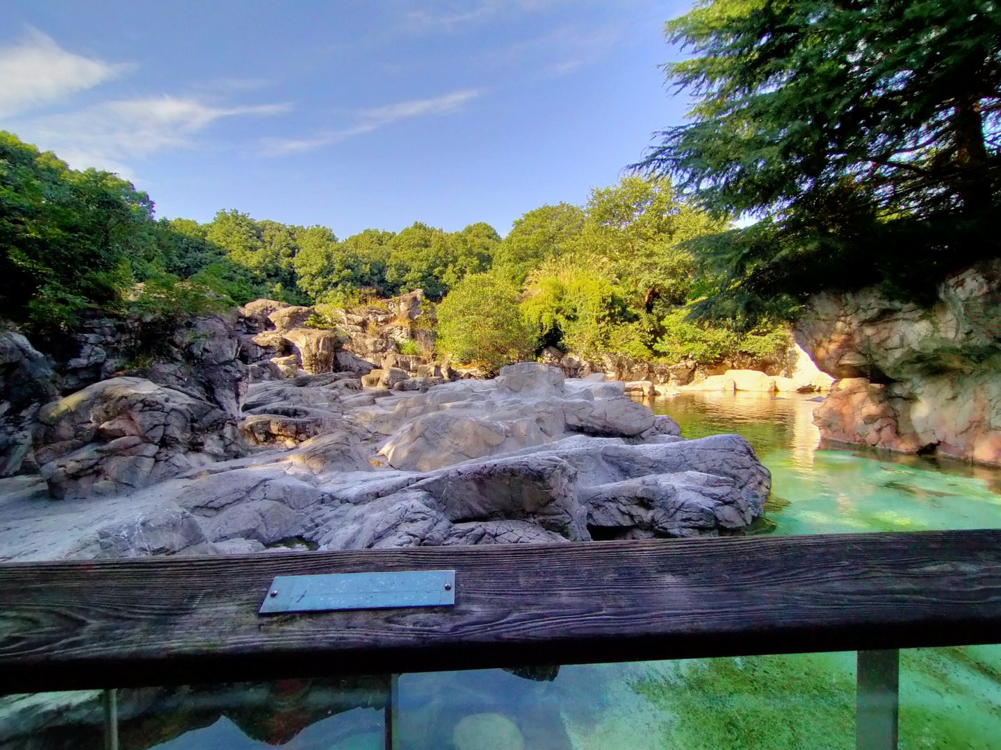 Humboldt penguin exhibit