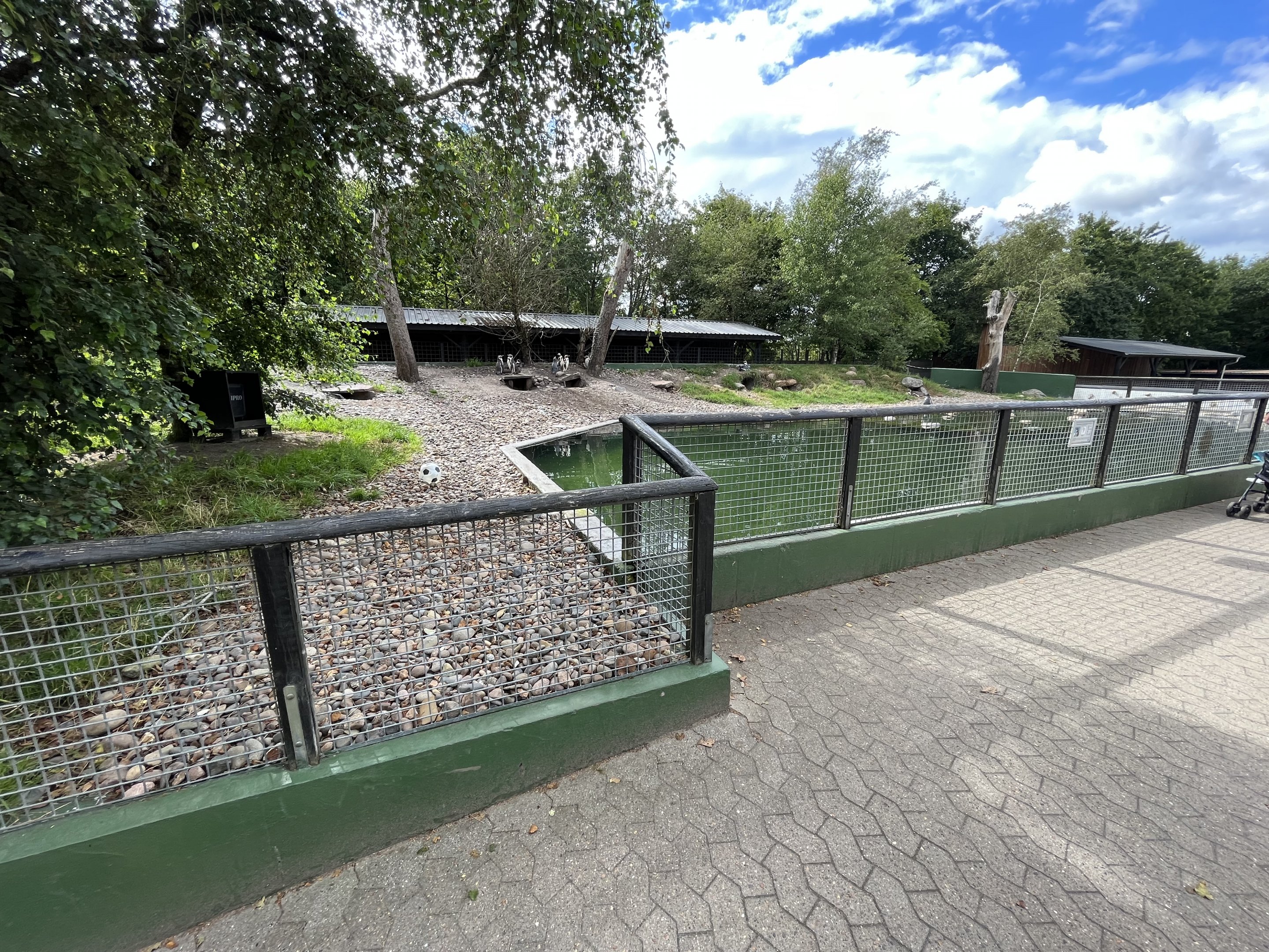 Humboldt Penguin Exhibit