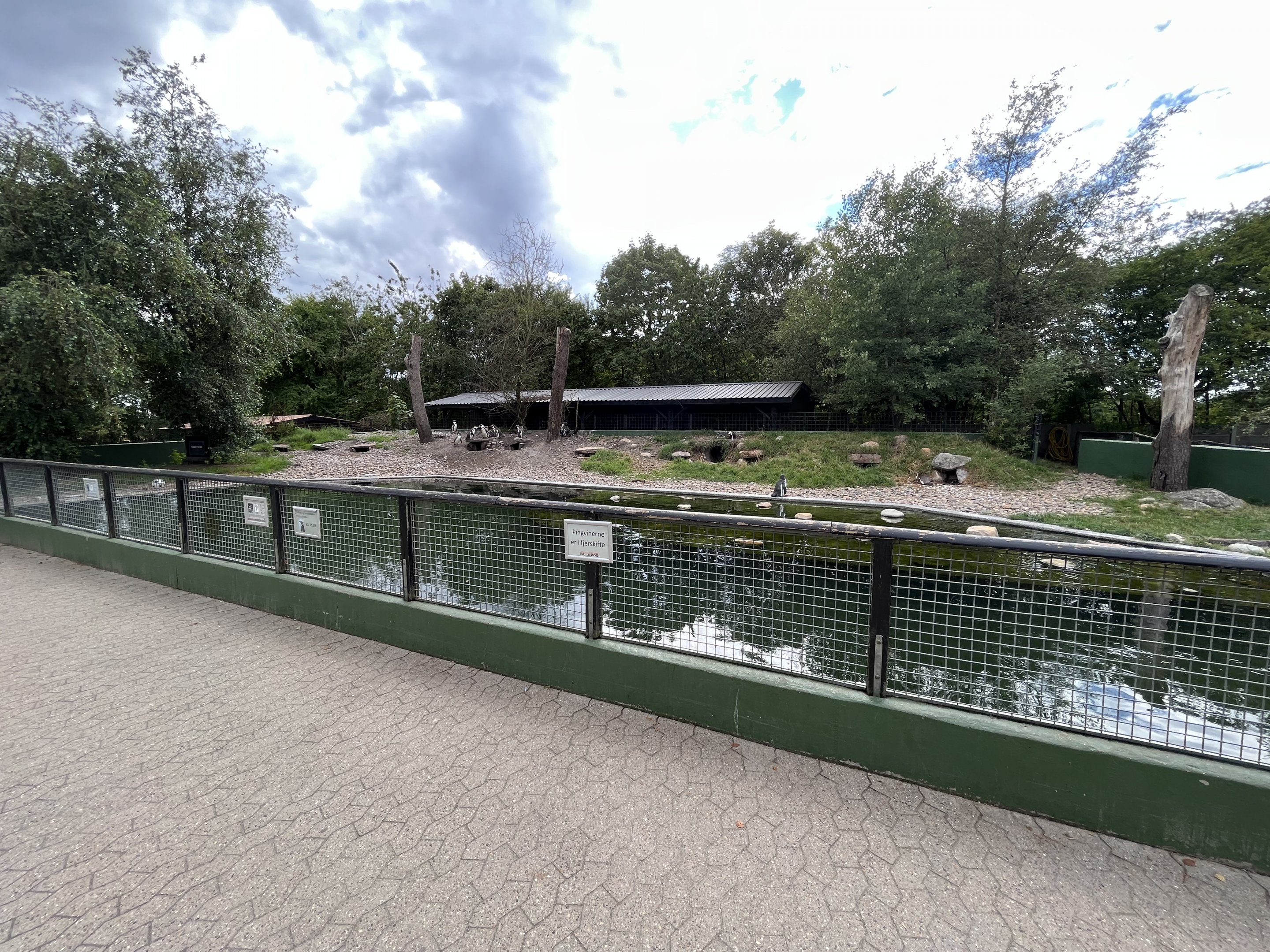 Humboldt Penguin Exhibit