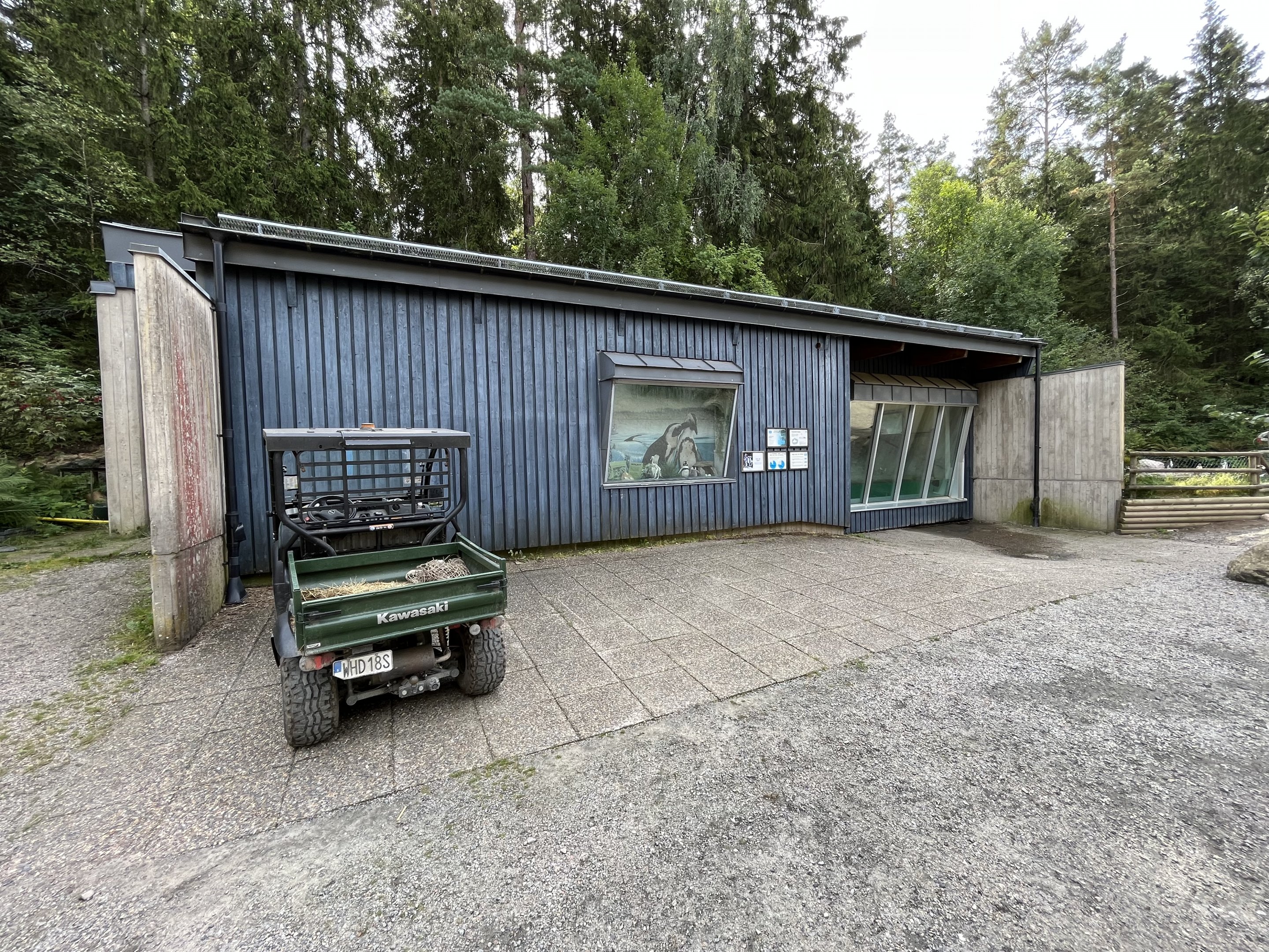 Humboldt Penguin Exhibit