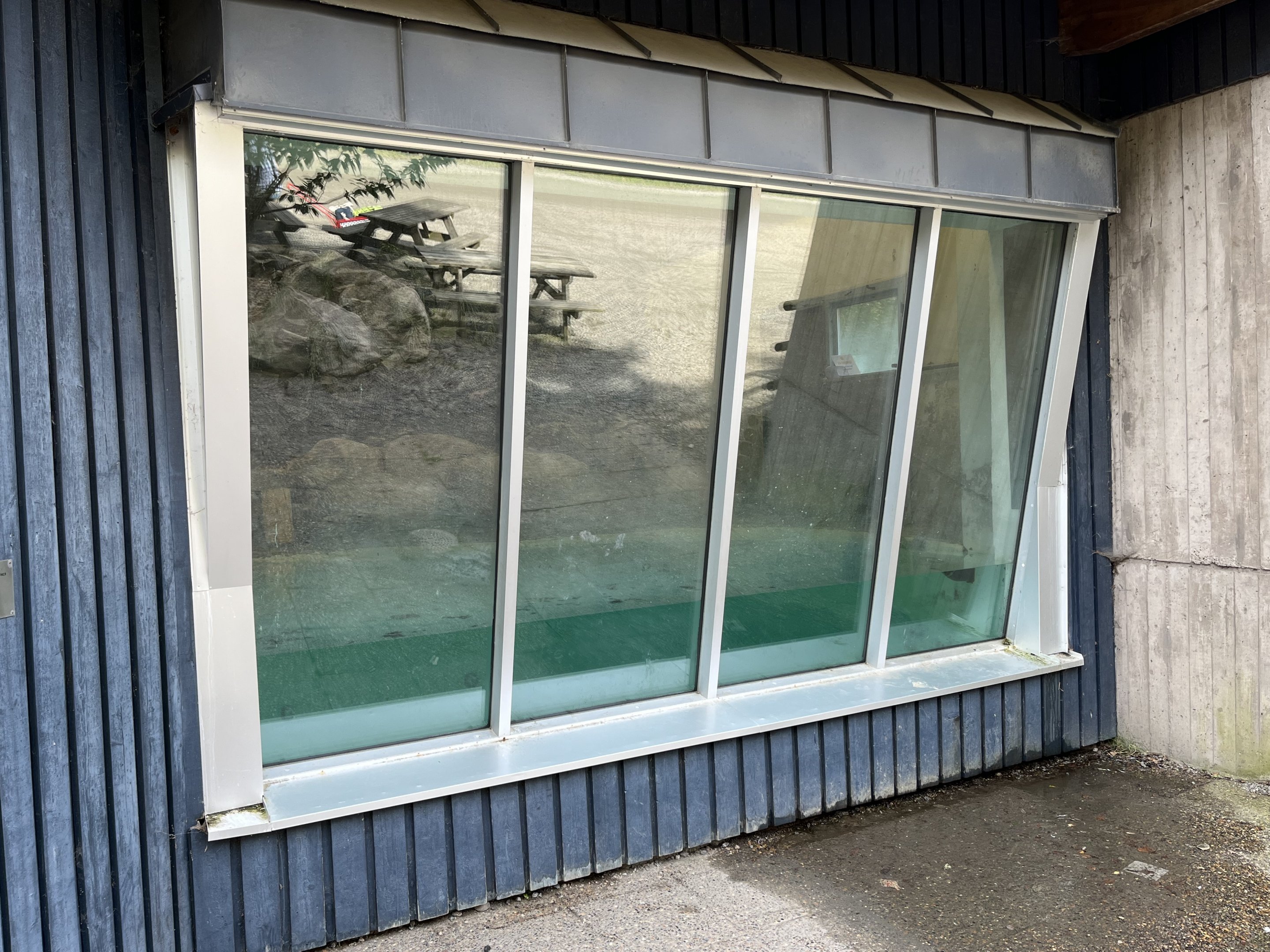 Humboldt Penguin Exhibit