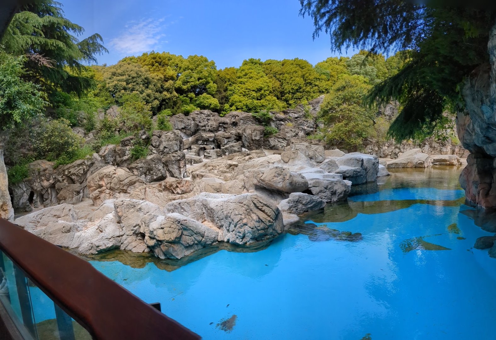 Humboldt penguin exhibit