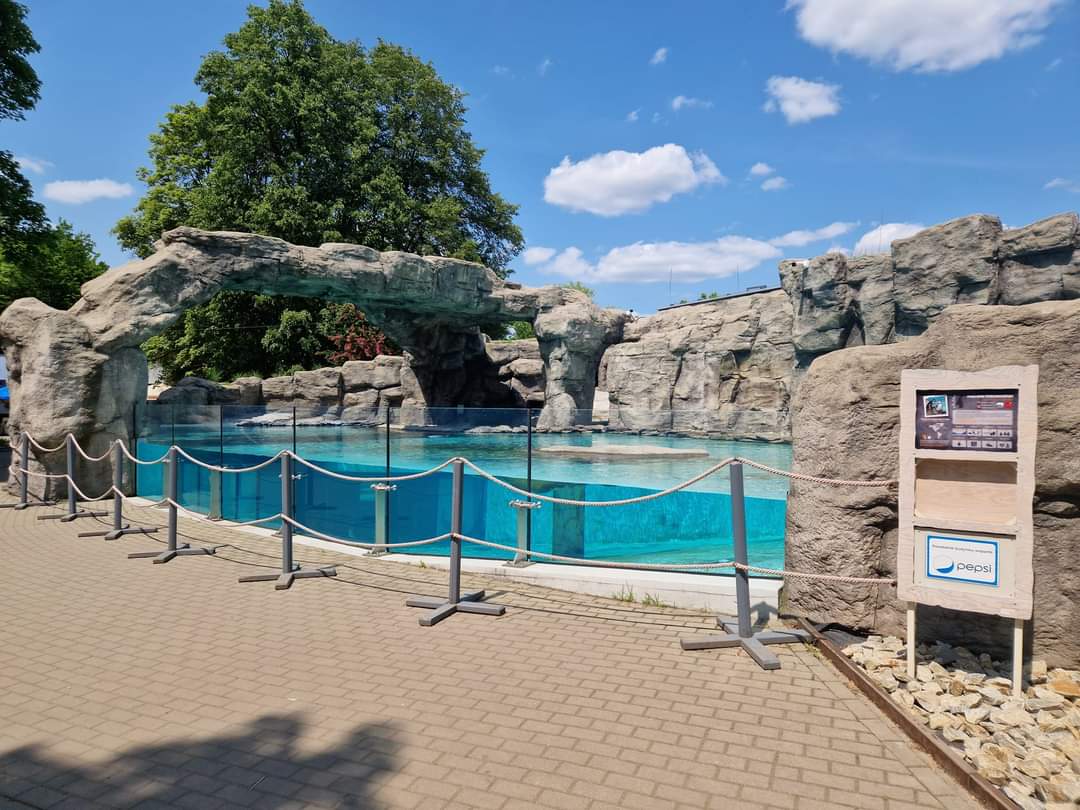 Humboldt penguin exhibit