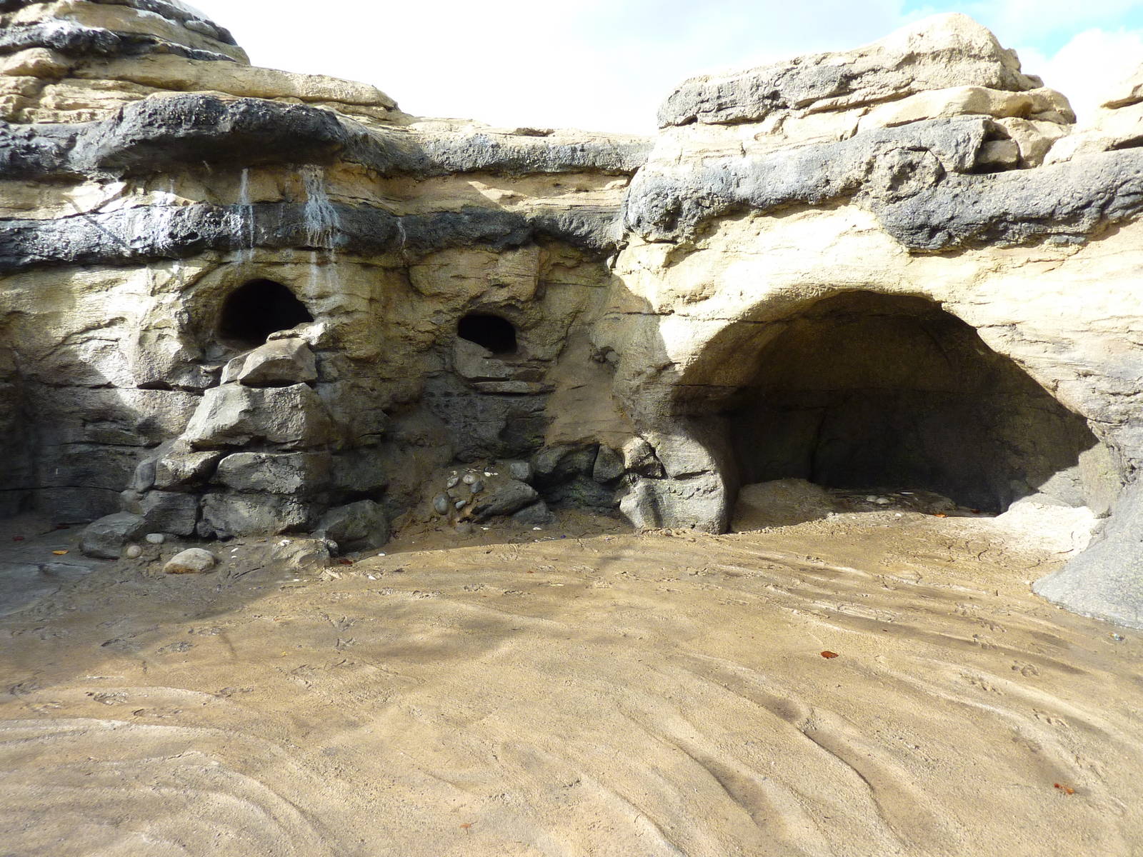 Humboldt Penguin Exhibit