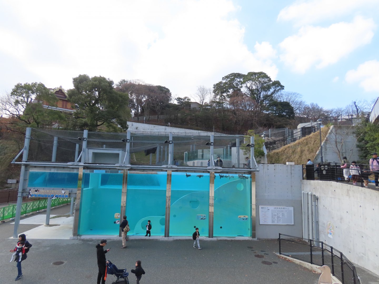 Humboldt penguin exhibit