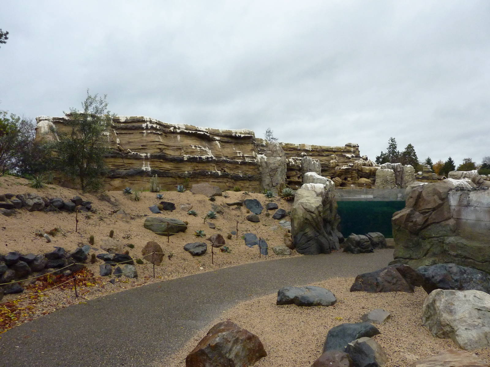 Humboldt Penguin Exhibit