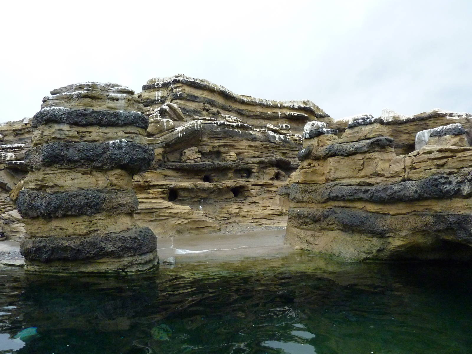 Humboldt Penguin Exhibit
