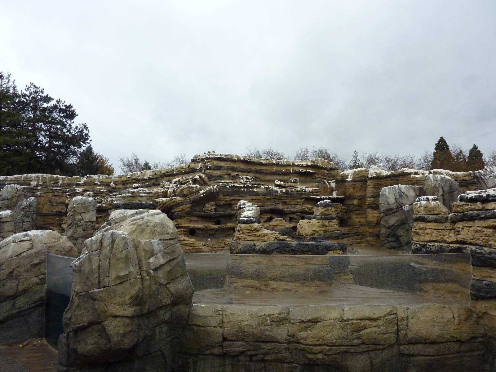 Humboldt Penguin Exhibit
