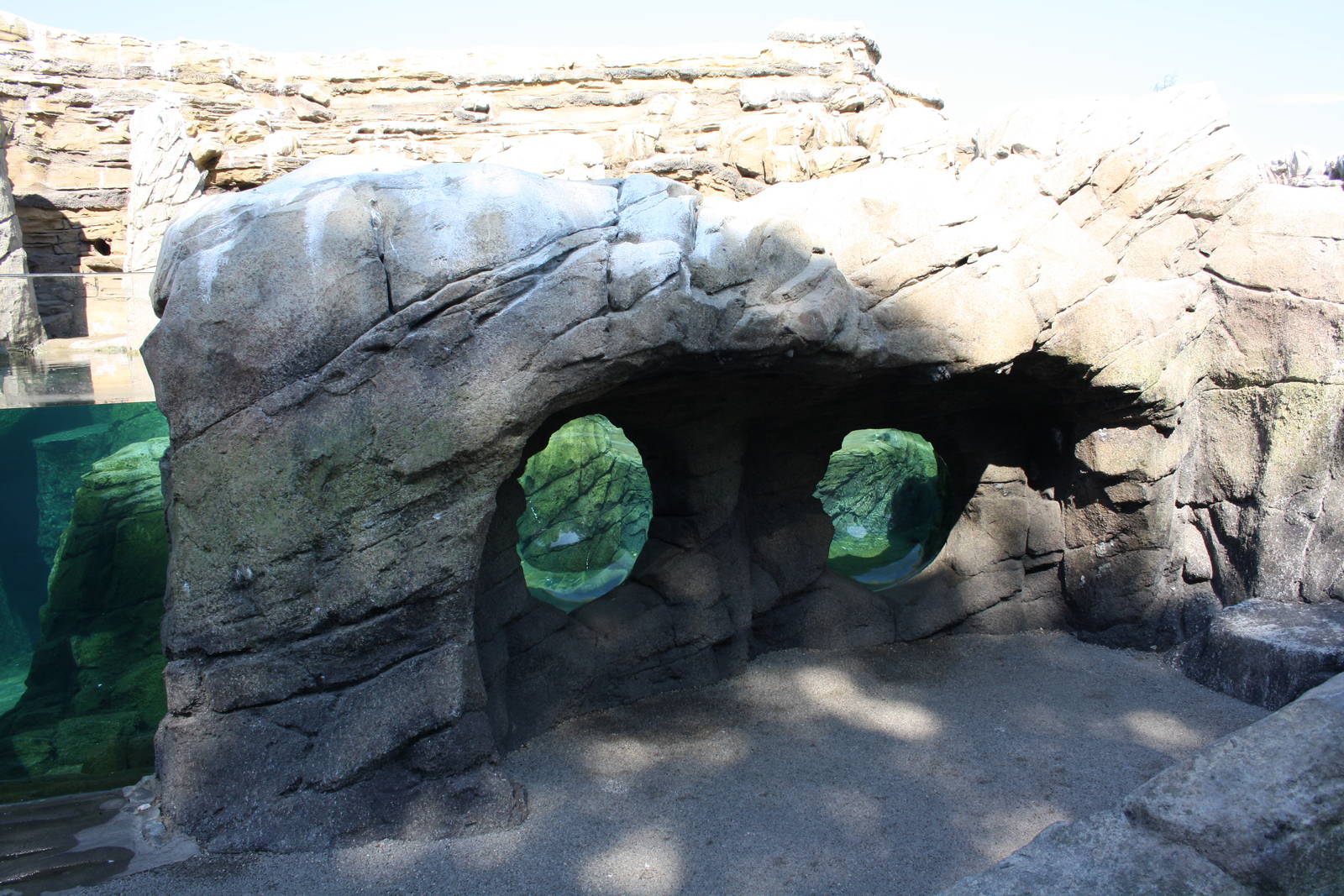 Humboldt Penguin Exhibit