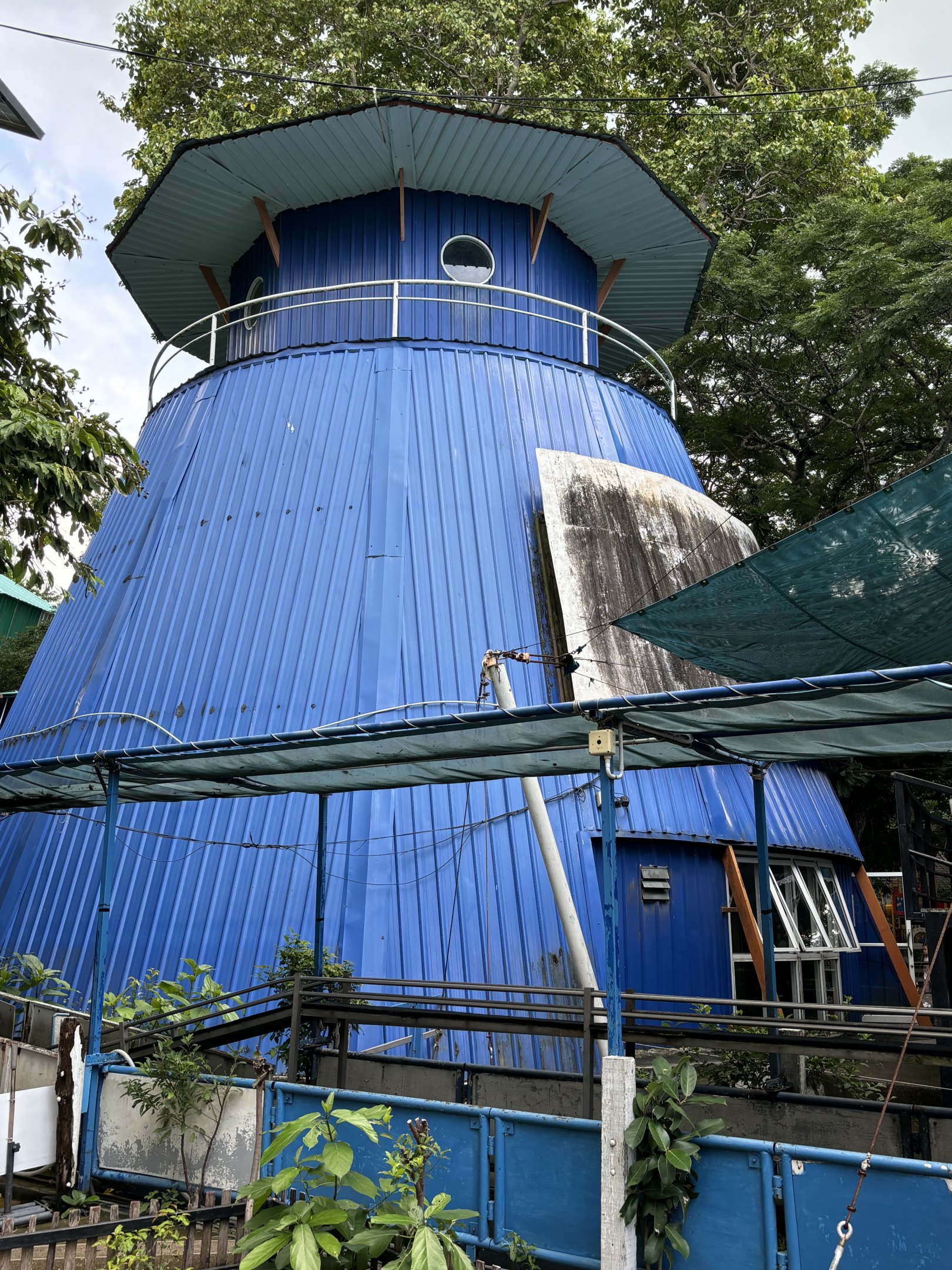 Humboldt Penguin Exhibit