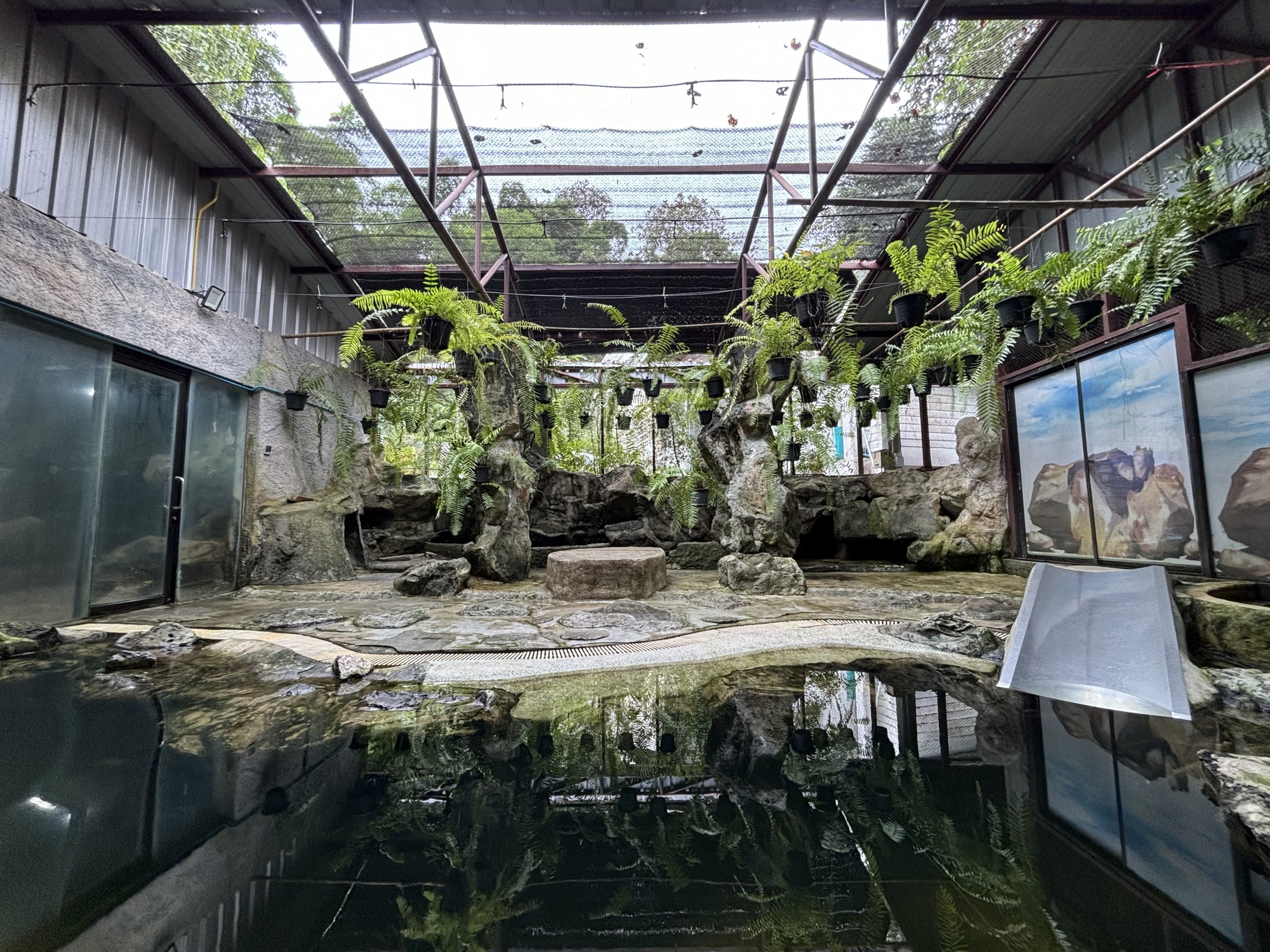 Humboldt Penguin Exhibit
