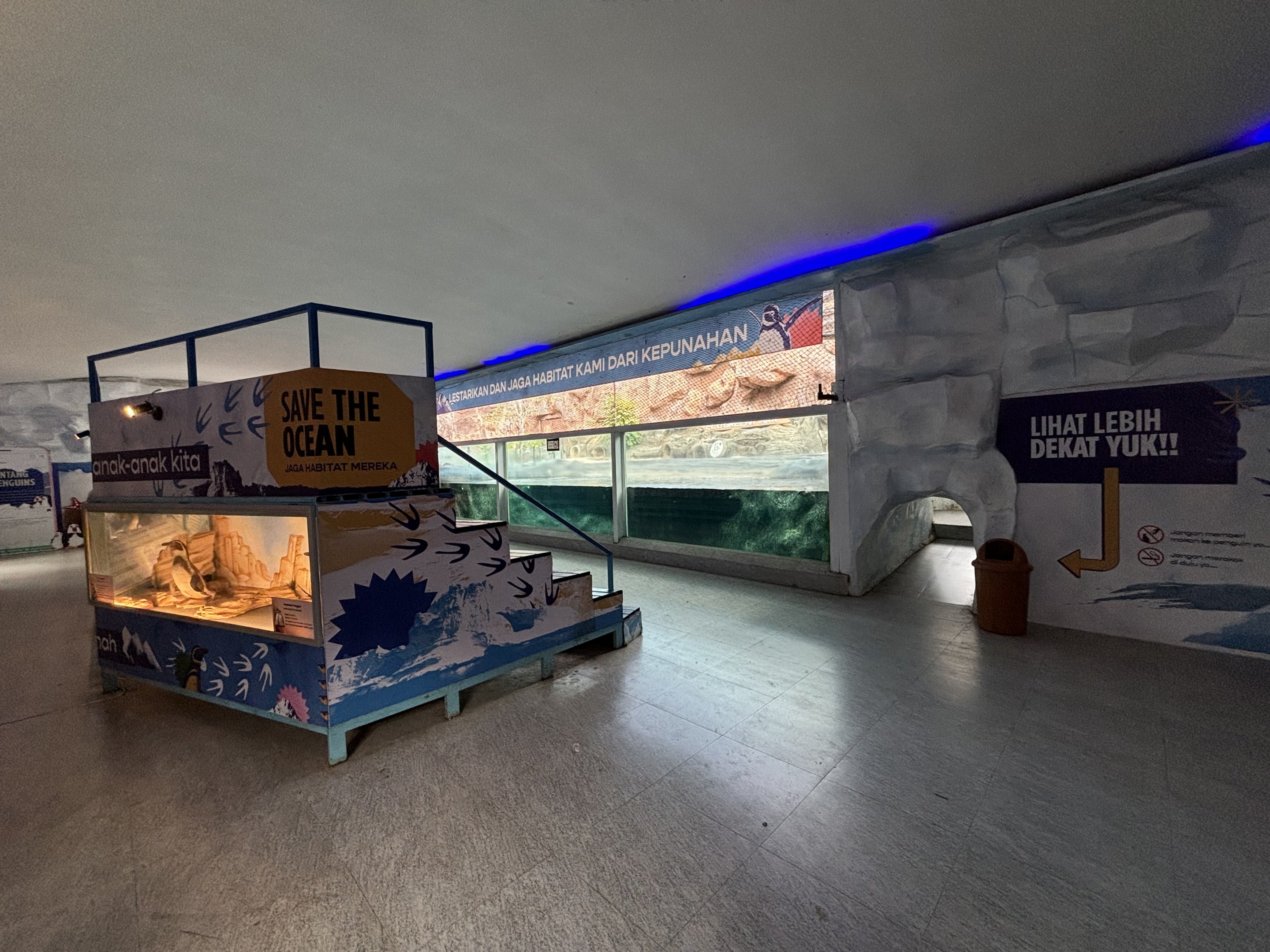 Humboldt Penguin Exhibit