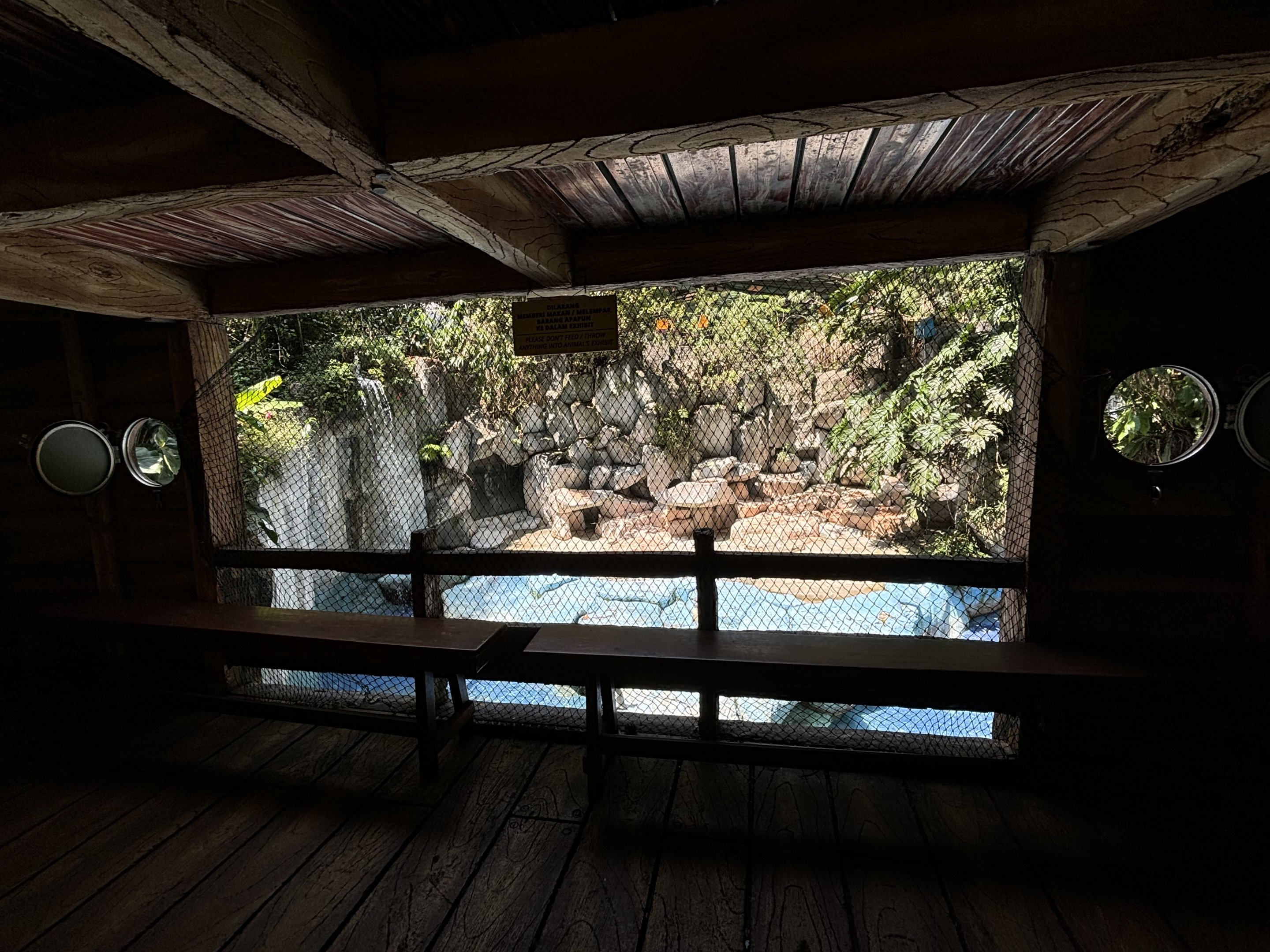 Humboldt Penguin Exhibit