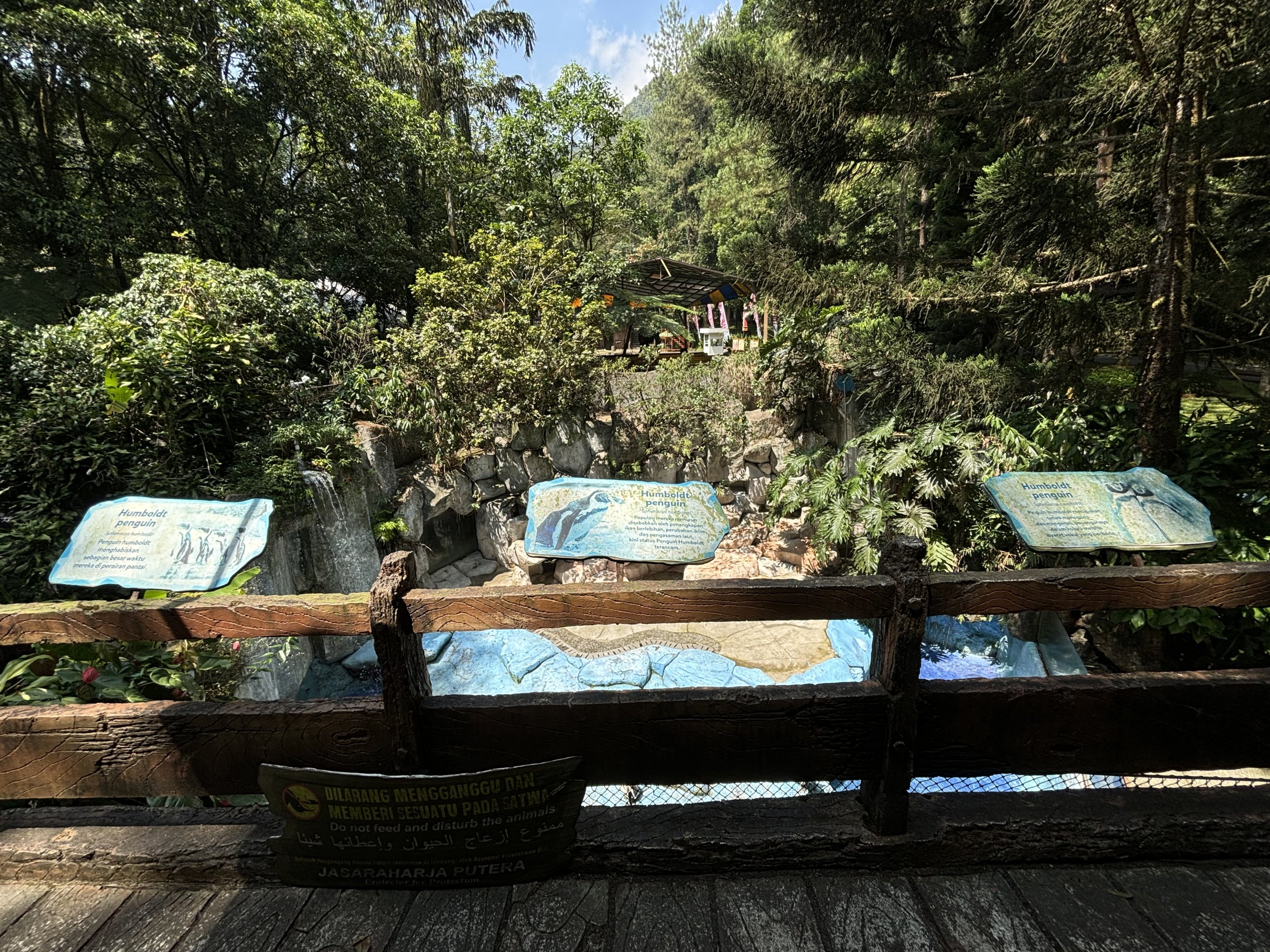 Humboldt Penguin Exhibit