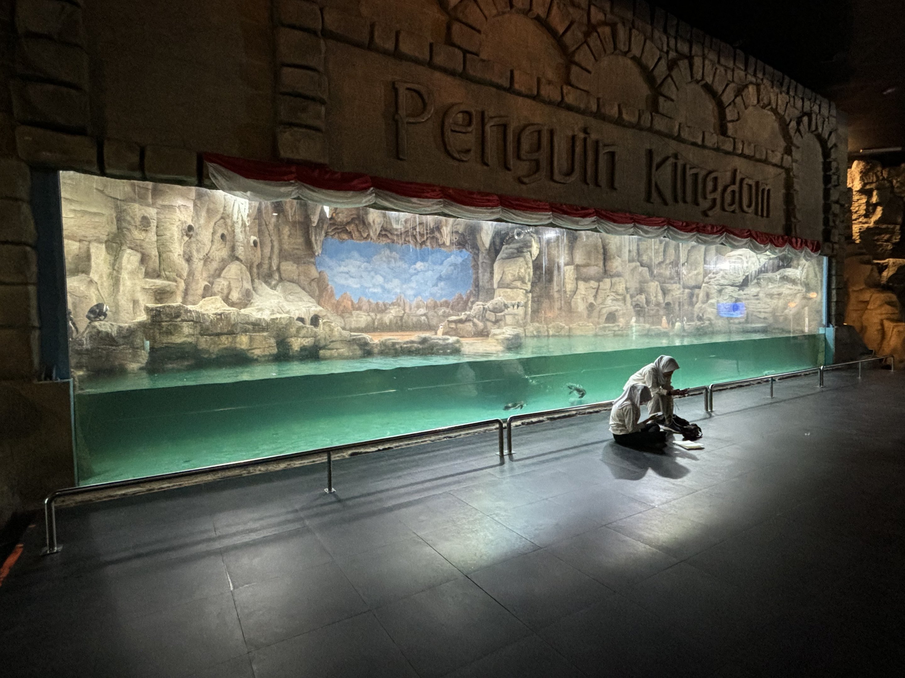 Humboldt Penguin Exhibit