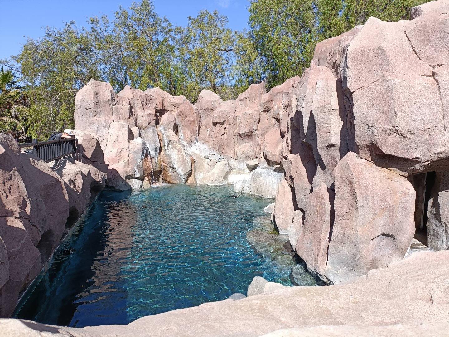 Humboldt penguin exhibit