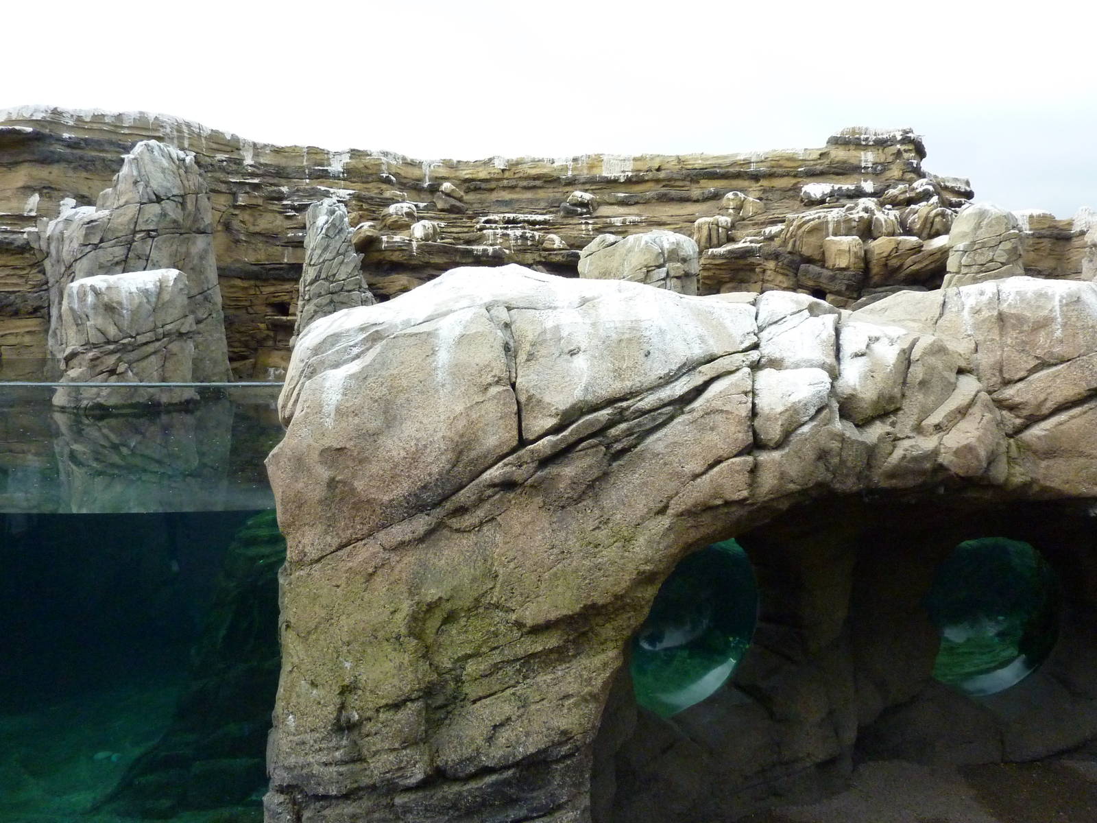 Humboldt Penguin Exhibit