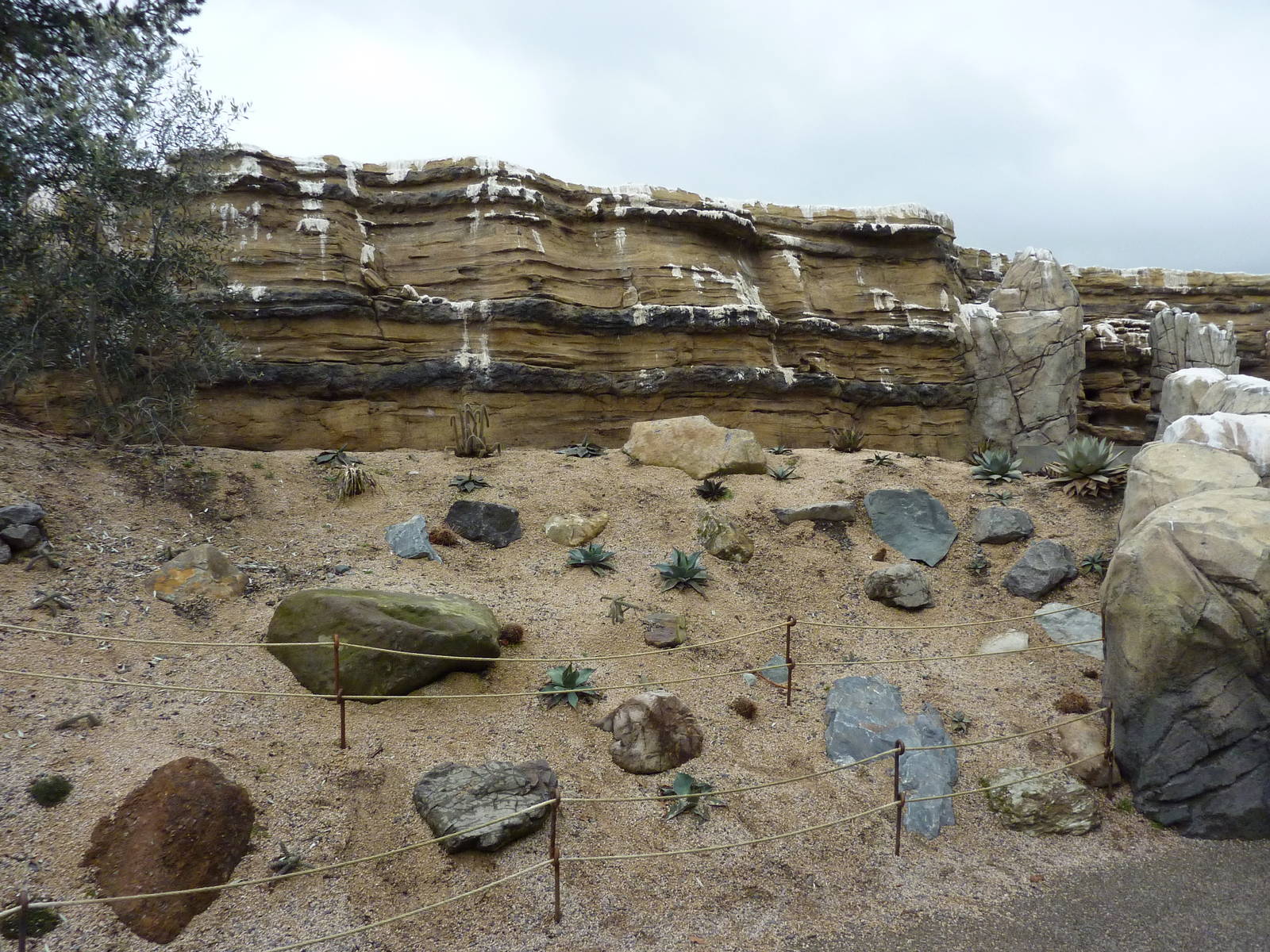 Humboldt Penguin Exhibit
