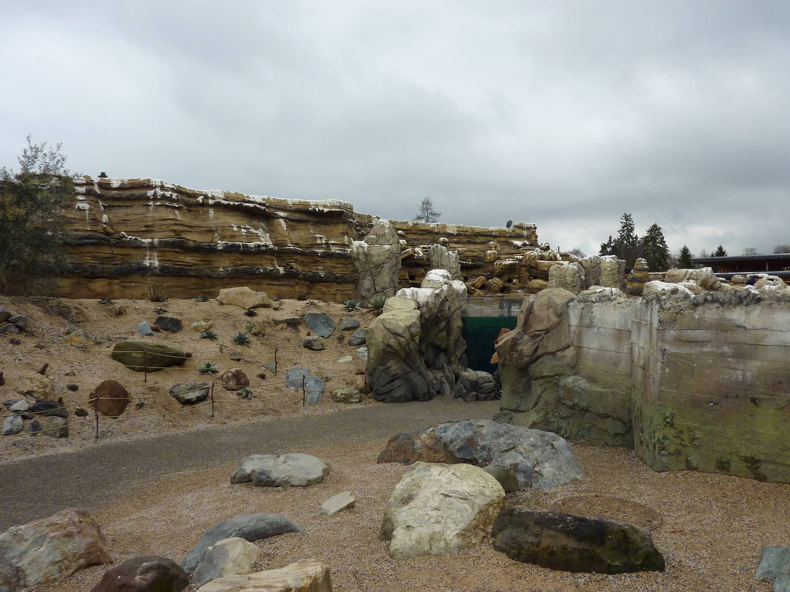 Humboldt Penguin Exhibit