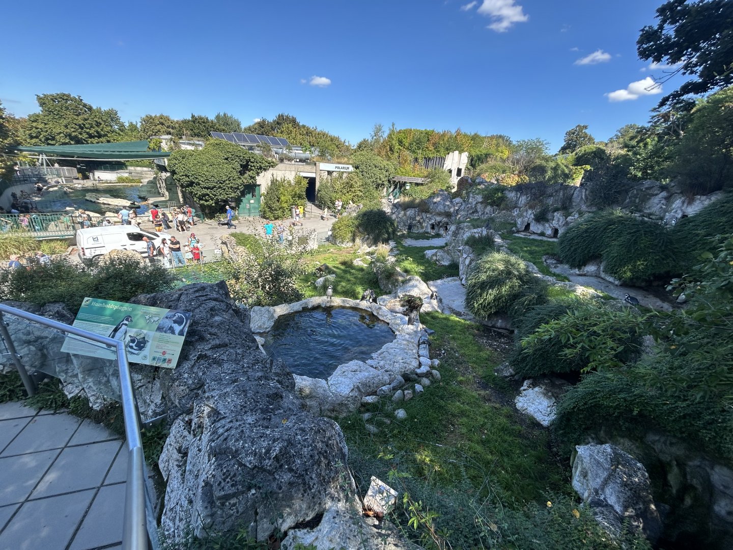 Humboldt Penguin Exhibit