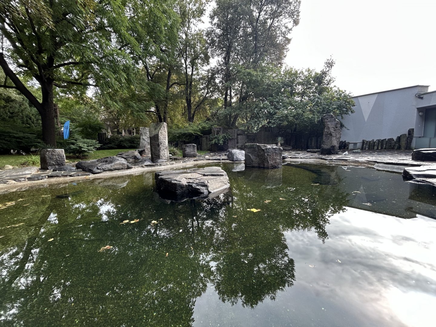 Humboldt Penguin Exhibit
