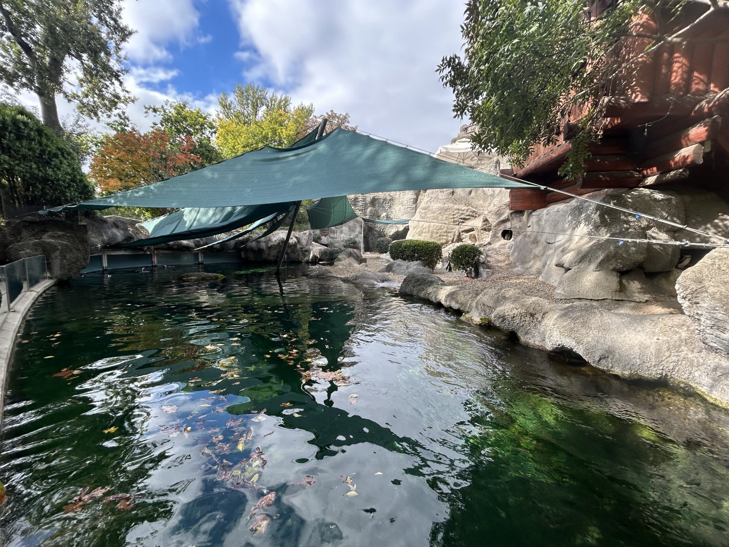 Humboldt Penguin Exhibit