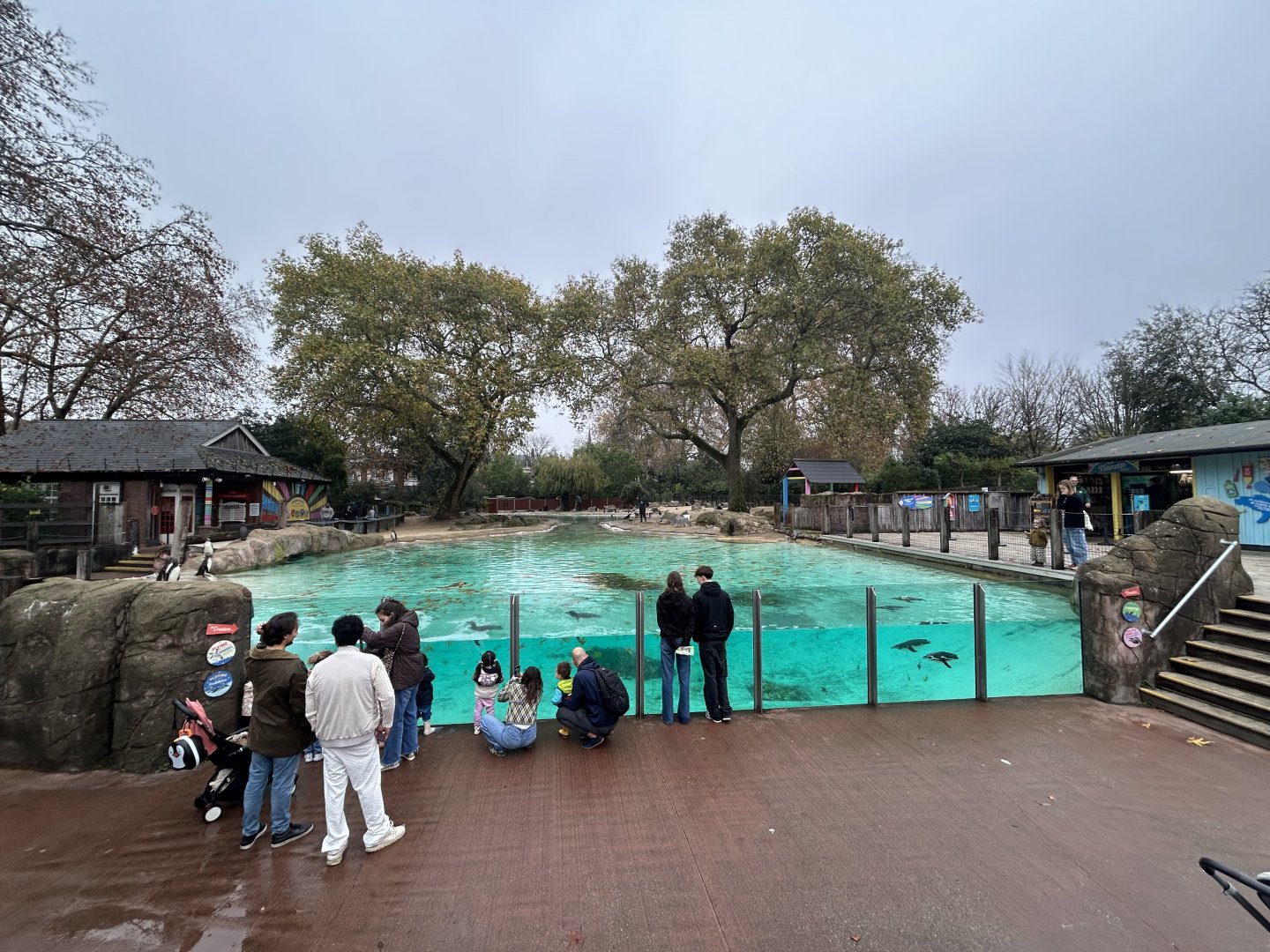 Humboldt Penguin Exhibit