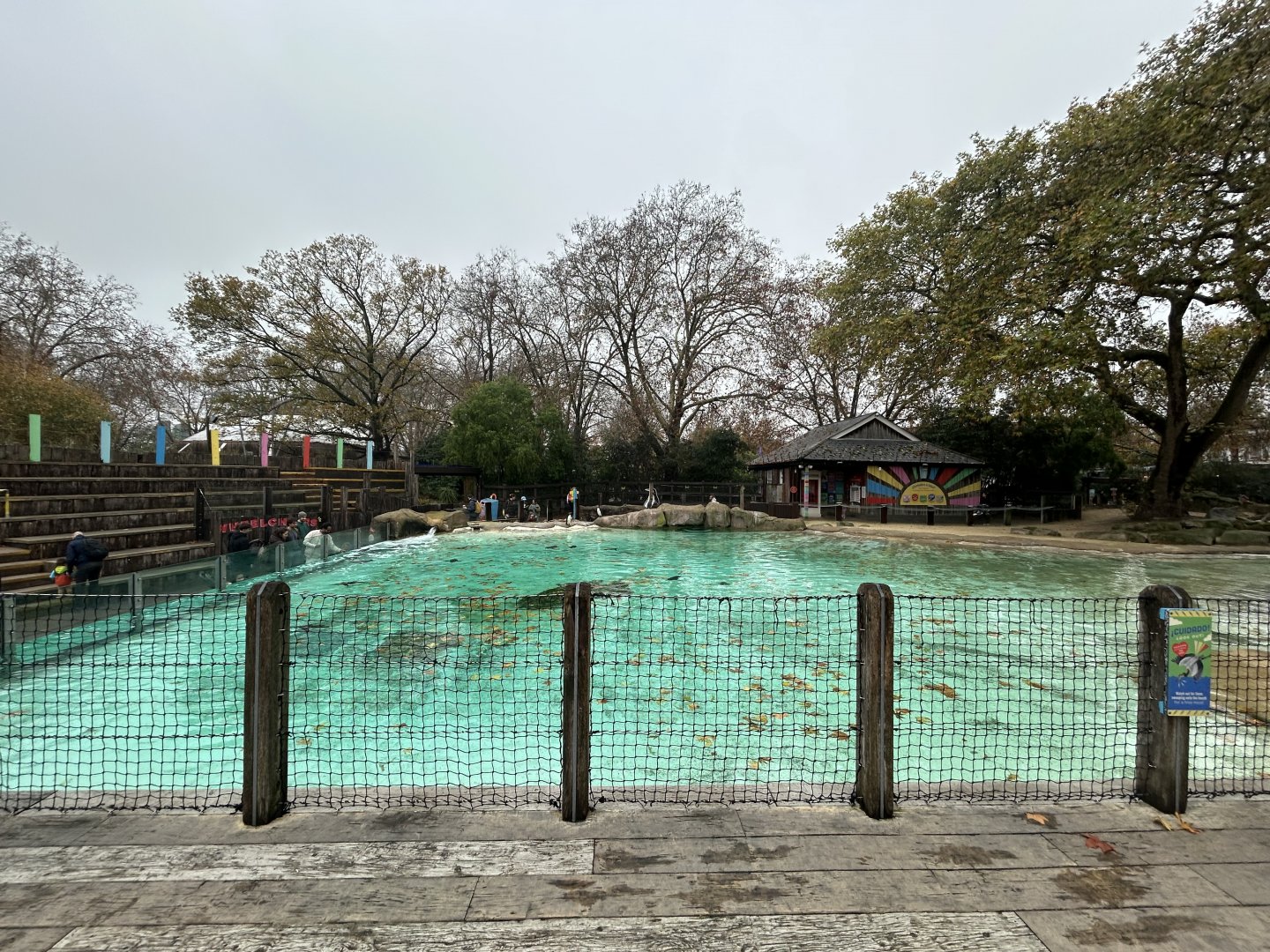 Humboldt Penguin Exhibit