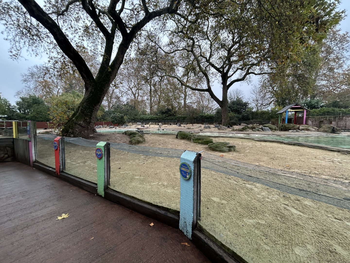 Humboldt Penguin Exhibit