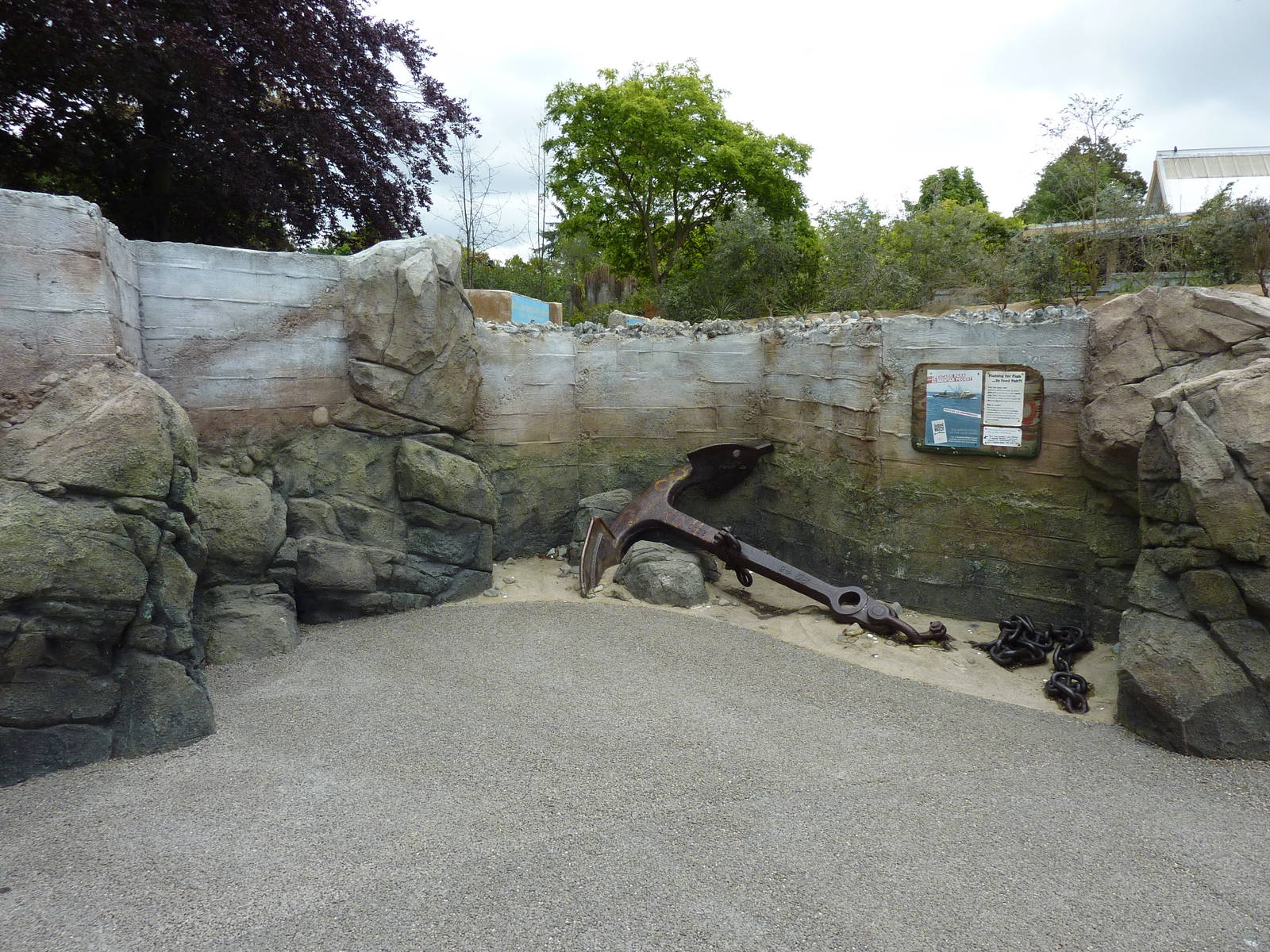 Humboldt Penguin Exhibit