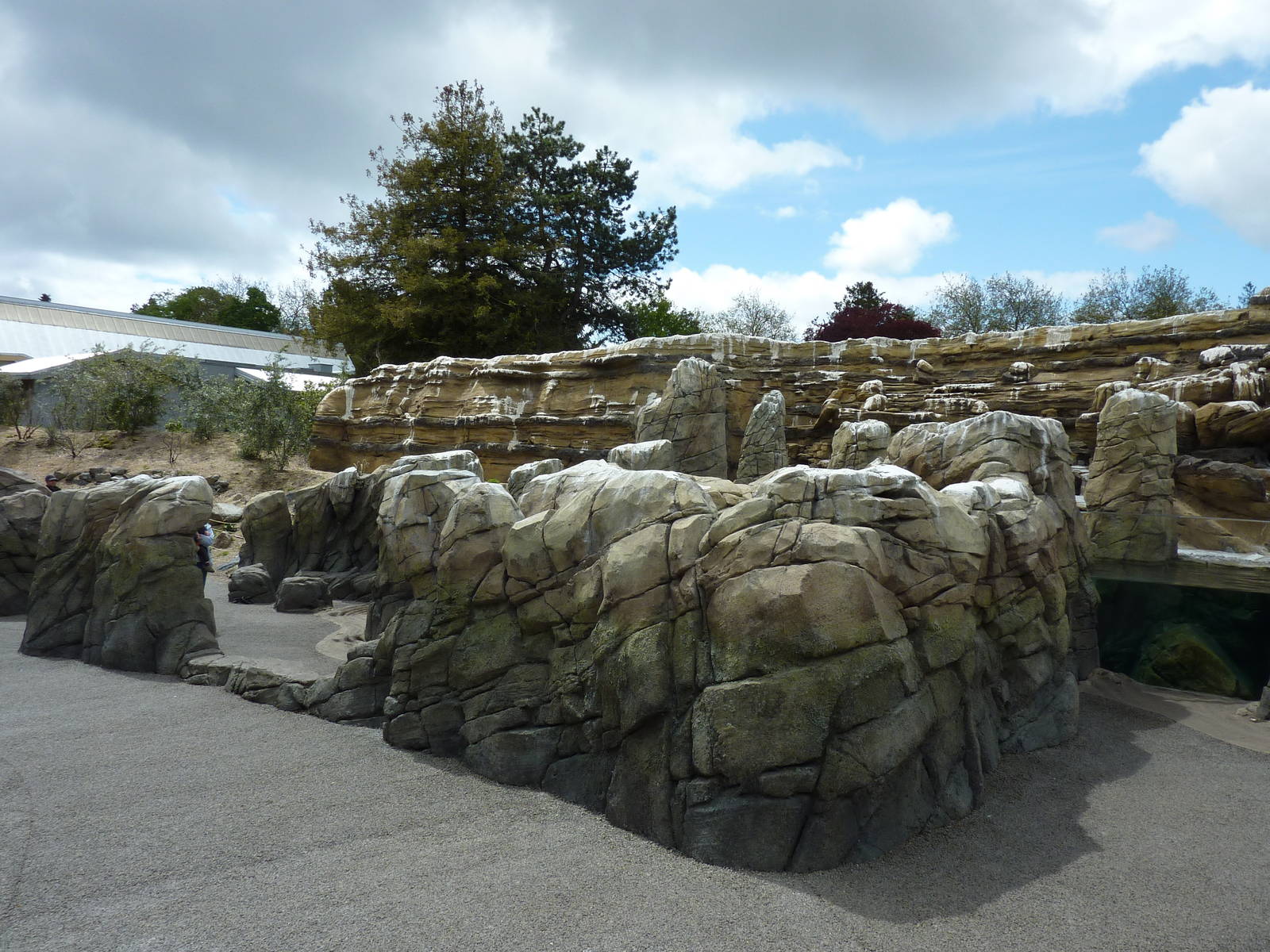 Humboldt Penguin Exhibit