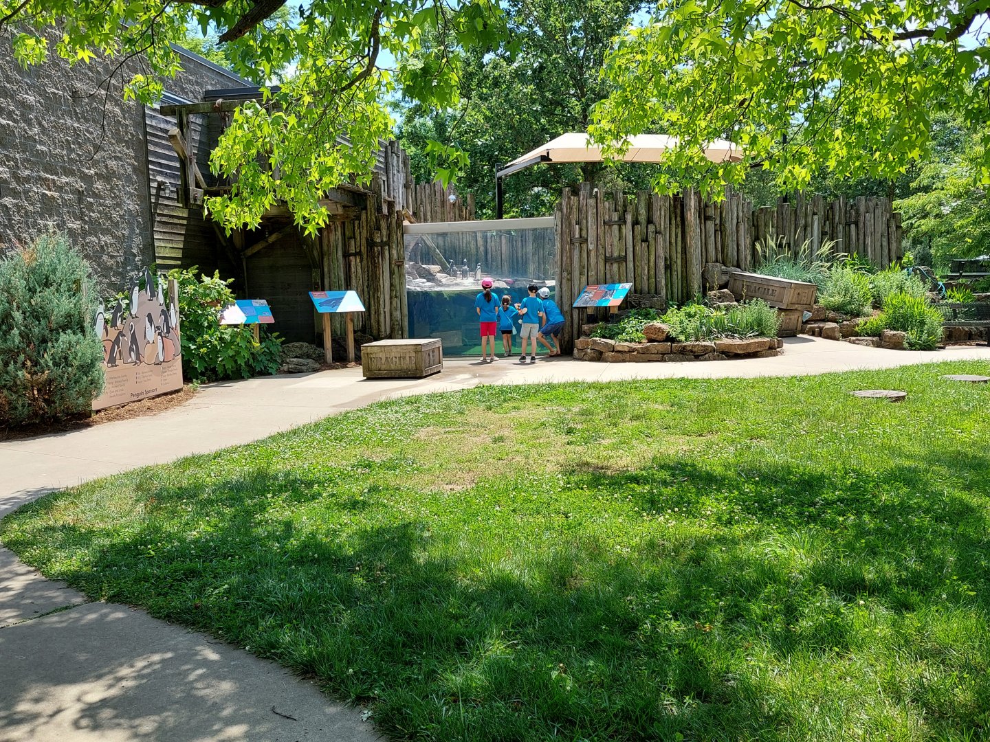 Humboldt Penguin Habitat Overview