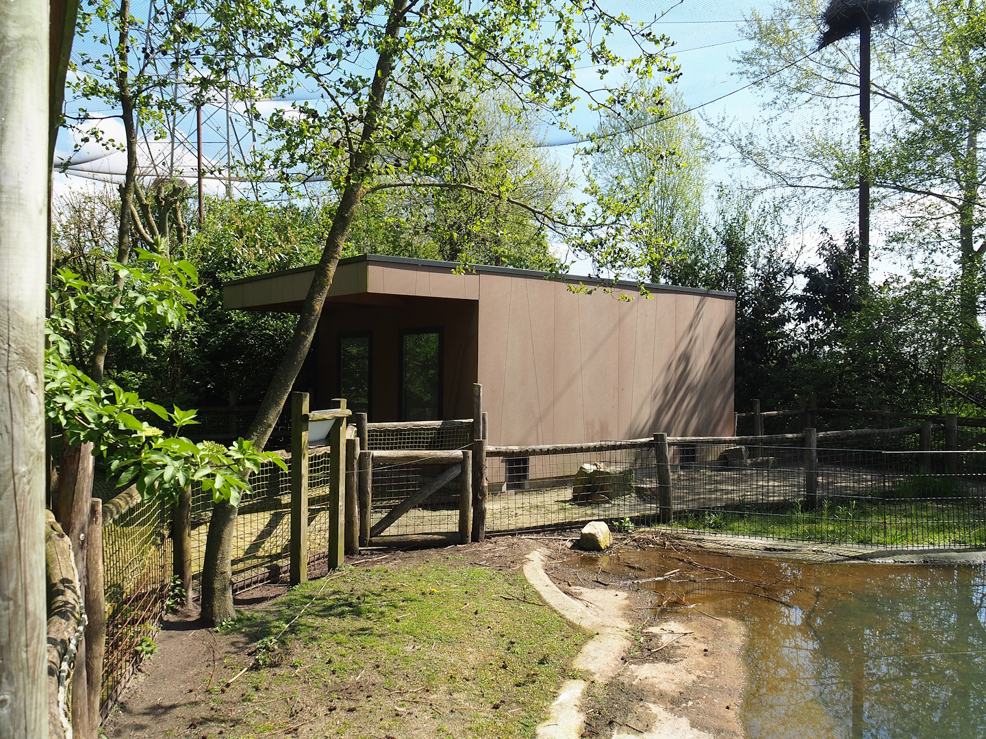 Humboldt penguin holding building, 2023-04-30