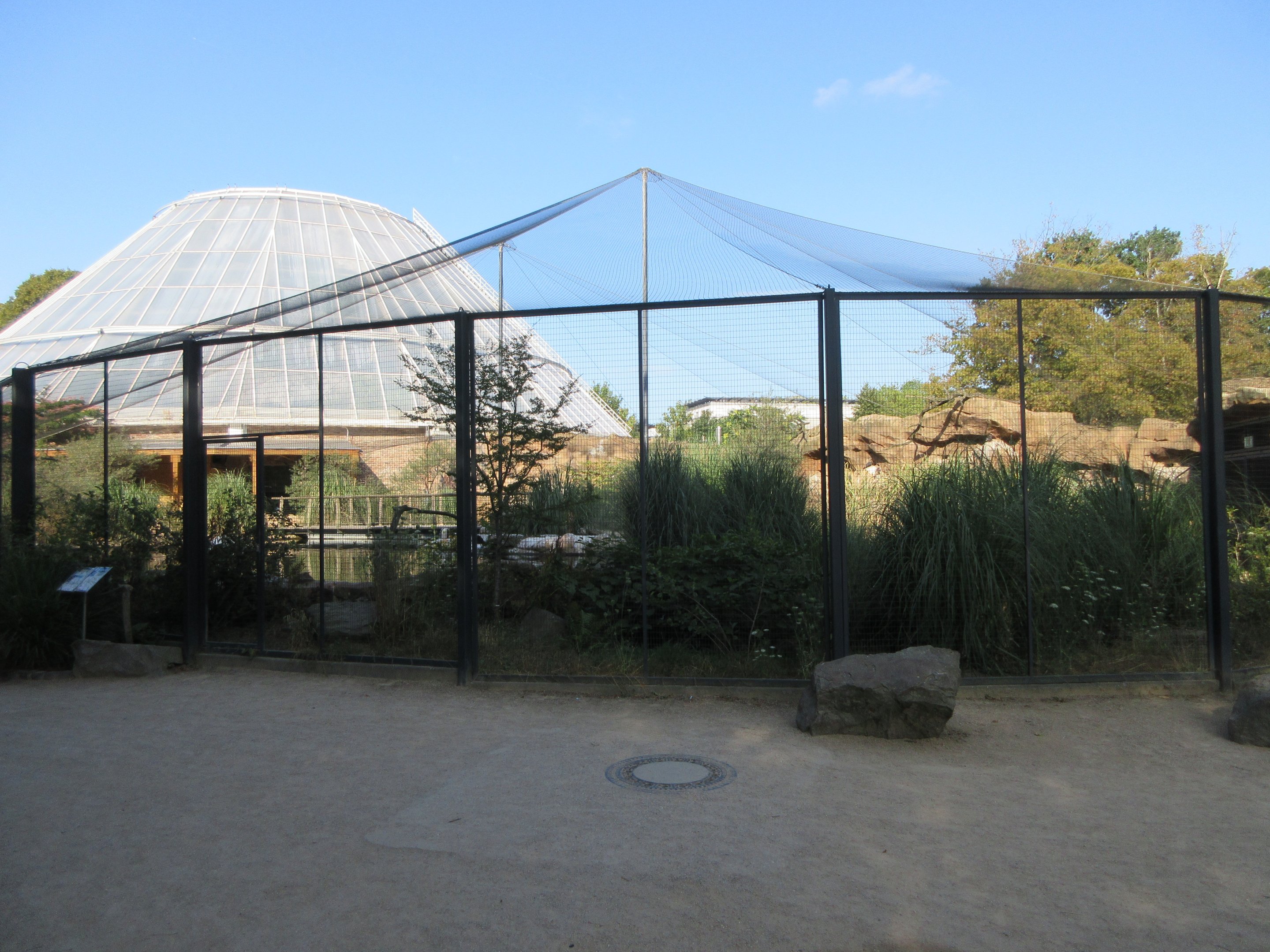 Humboldt Penguin/Inca Tern Aviary