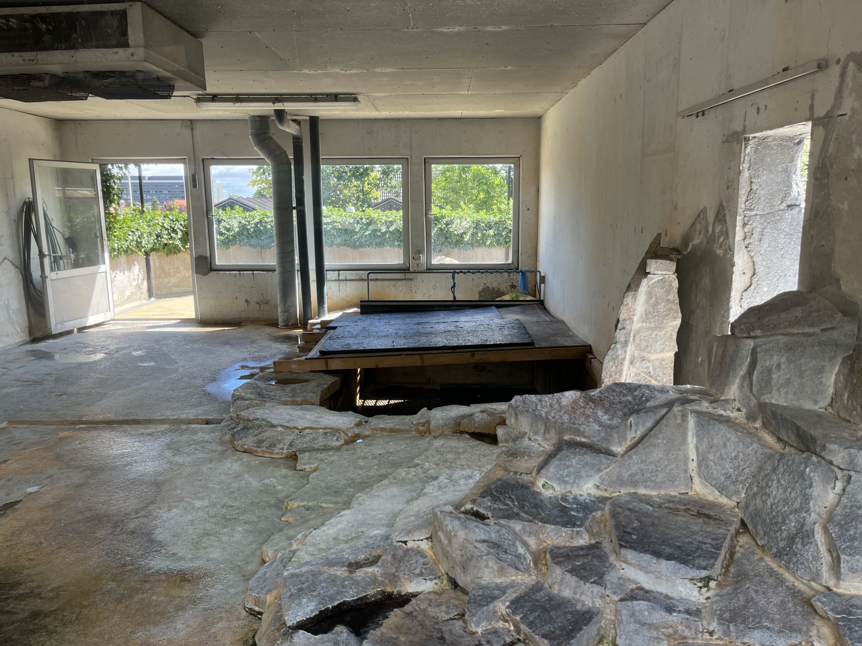 Humboldt Penguin Indoor Exhibit